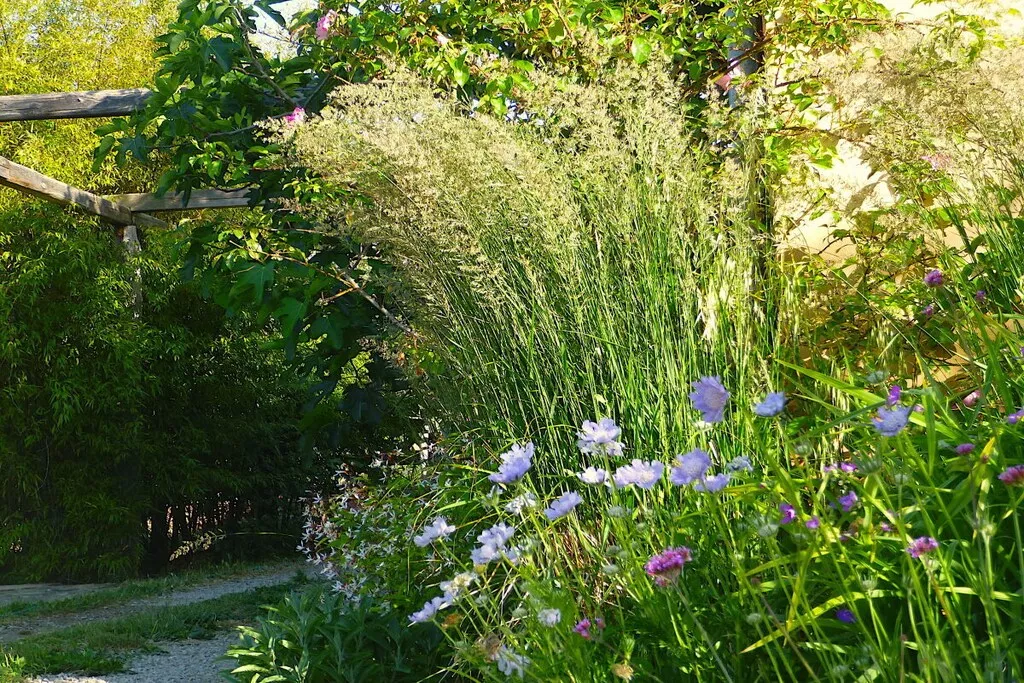 29689-Nicht zugeordnet