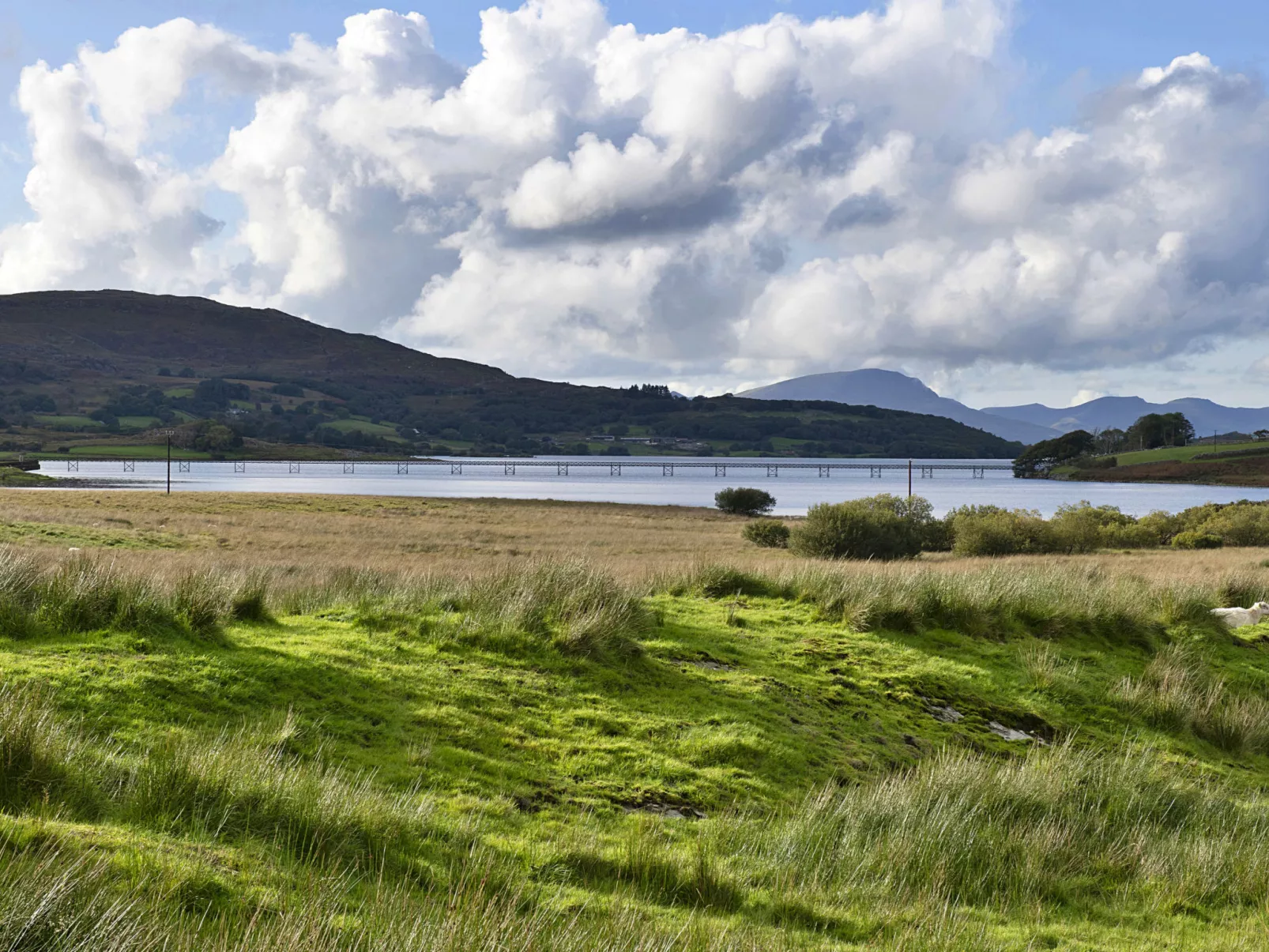 Mountain View-Dehors