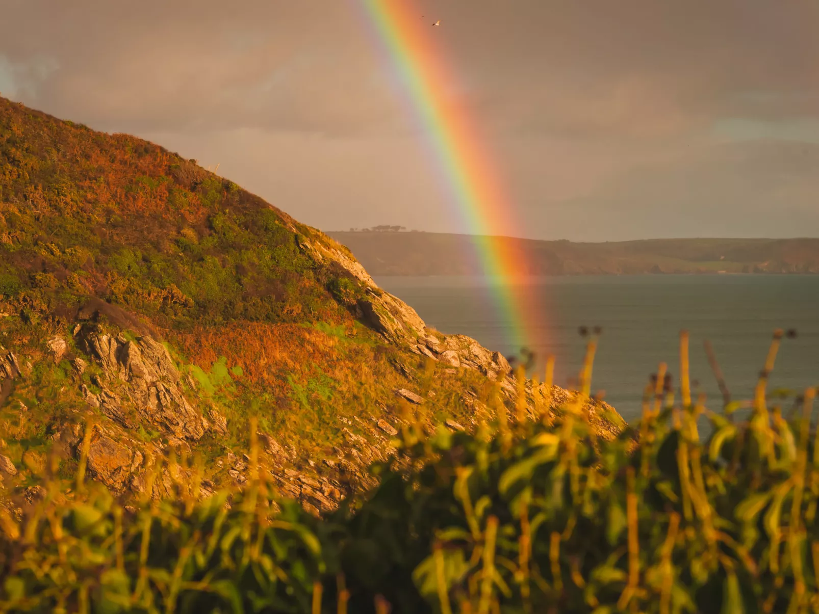The Old Store-Environnement