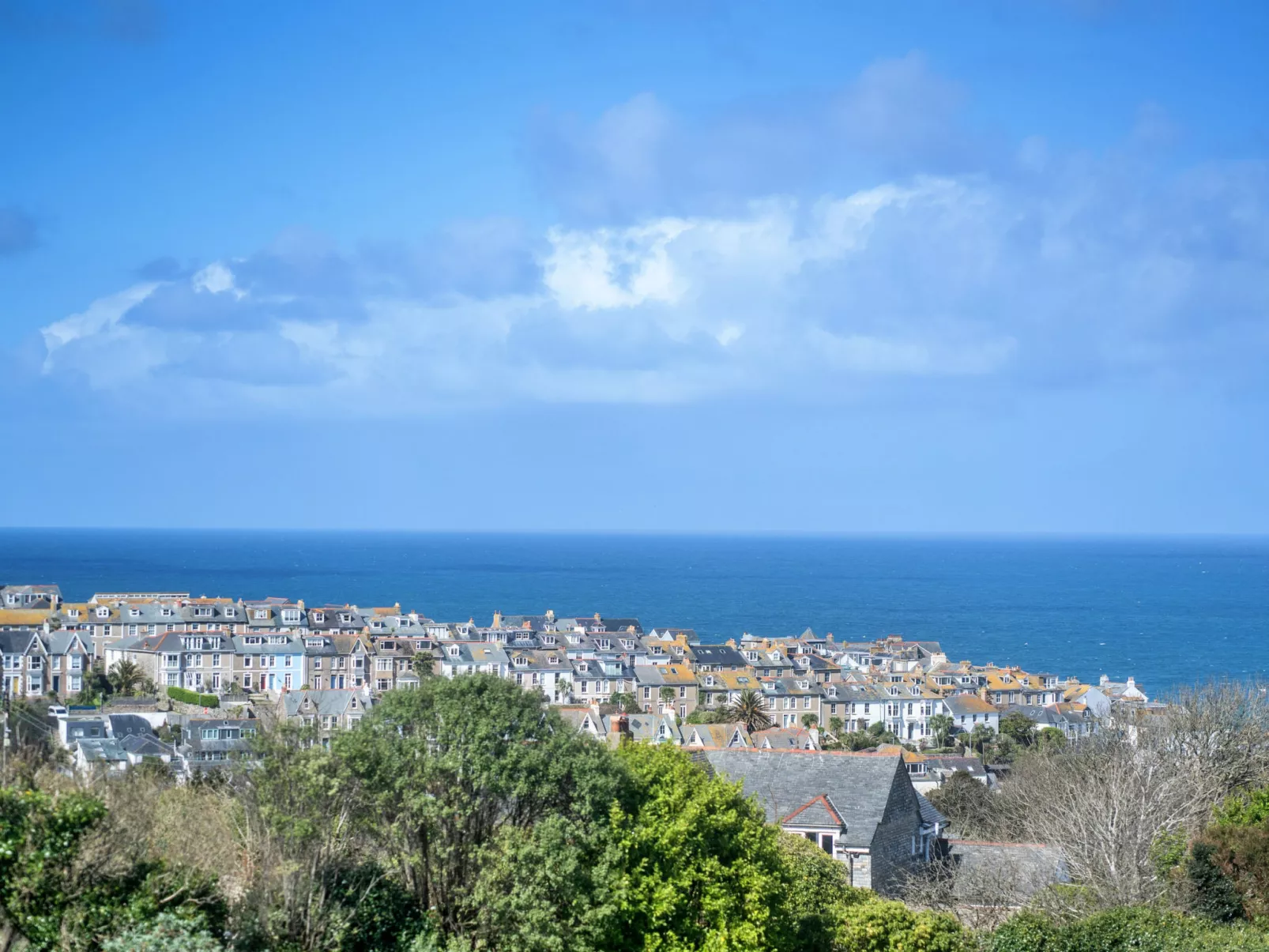 No. 5 Harlequin-Draußen