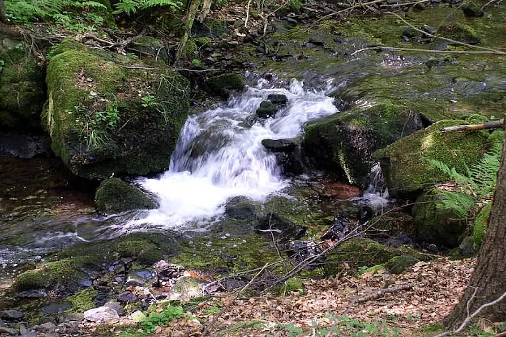 14349-Nicht zugeordnet