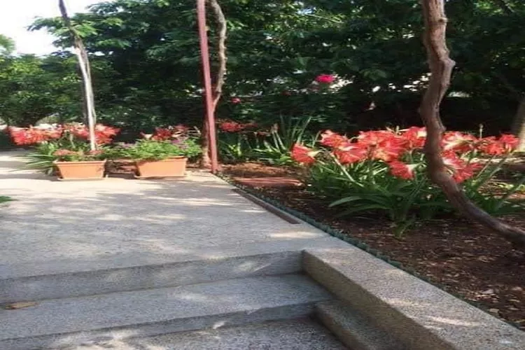 Apartments Villa Tanja - Two Bedroom Apartment with Terrace-Gardens in summer