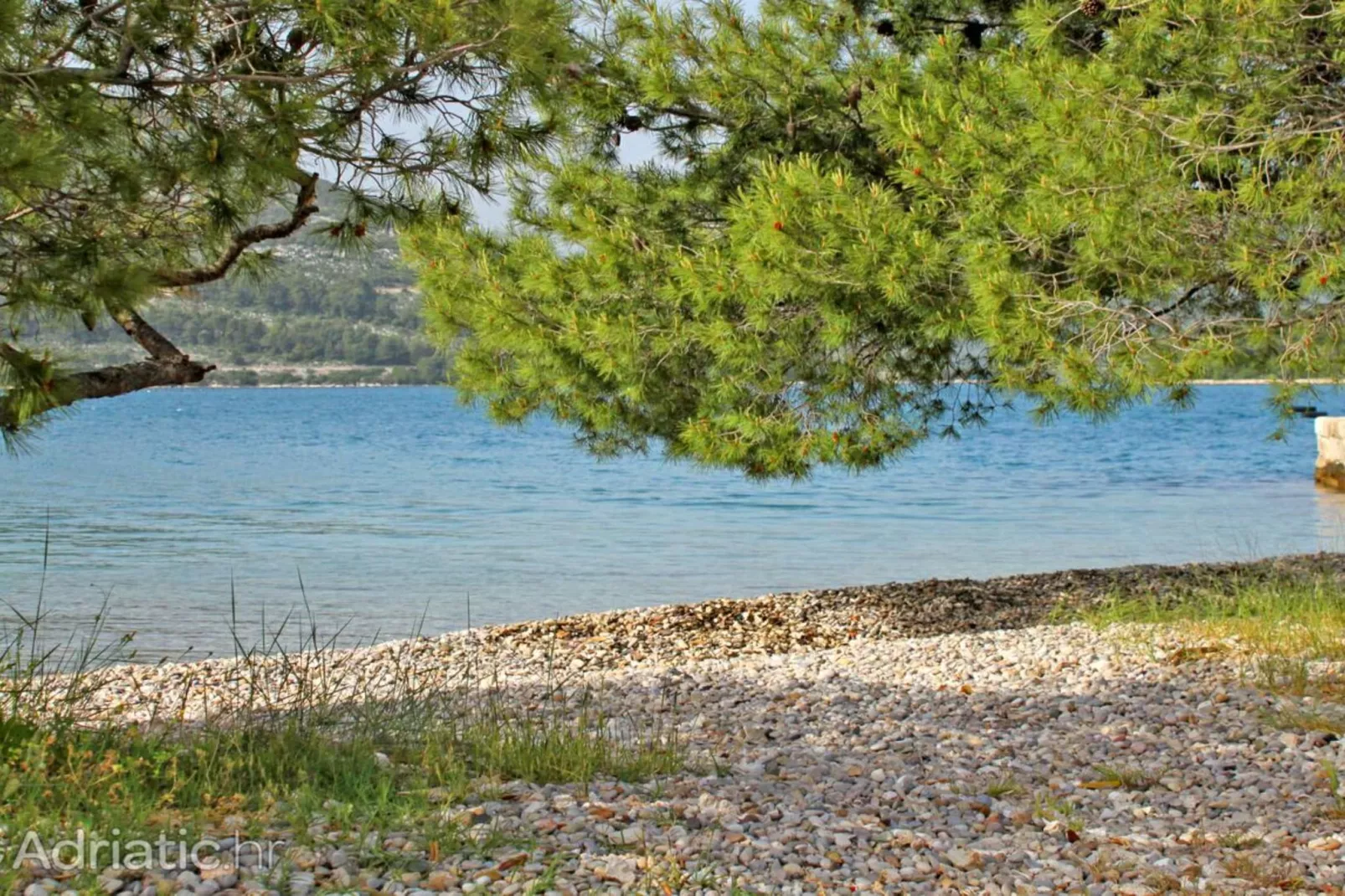 Four bedroom apartment-Ambiance