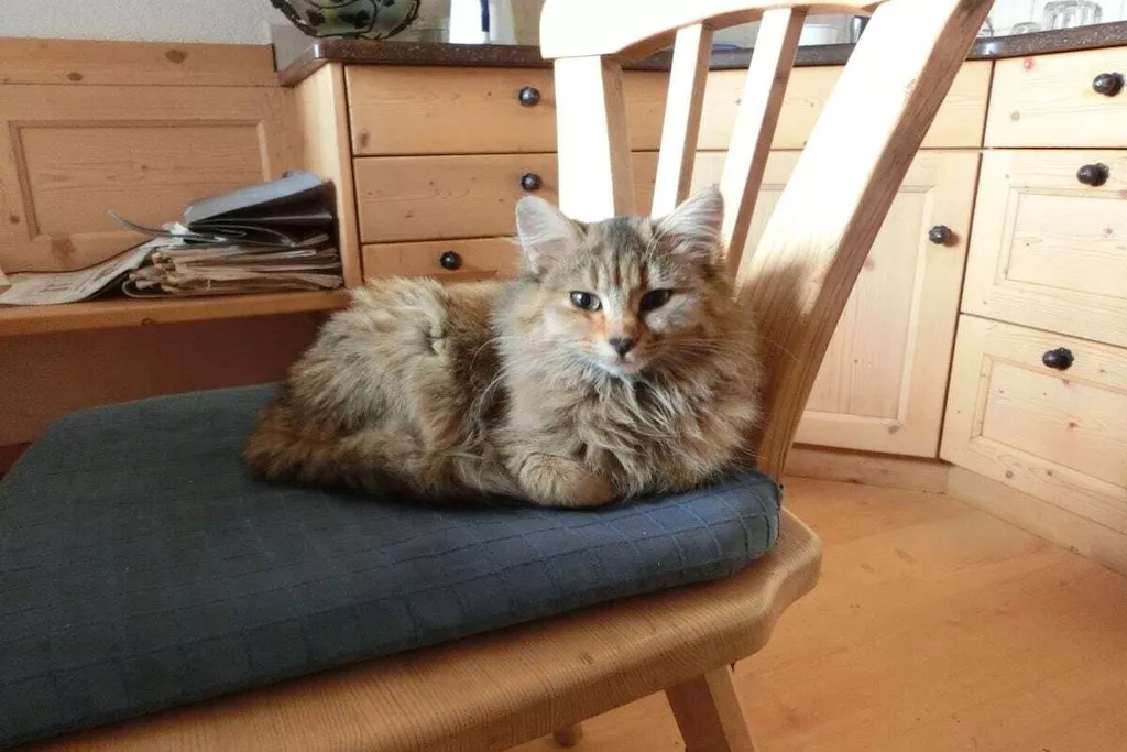 214515-Nicht zugeordnet