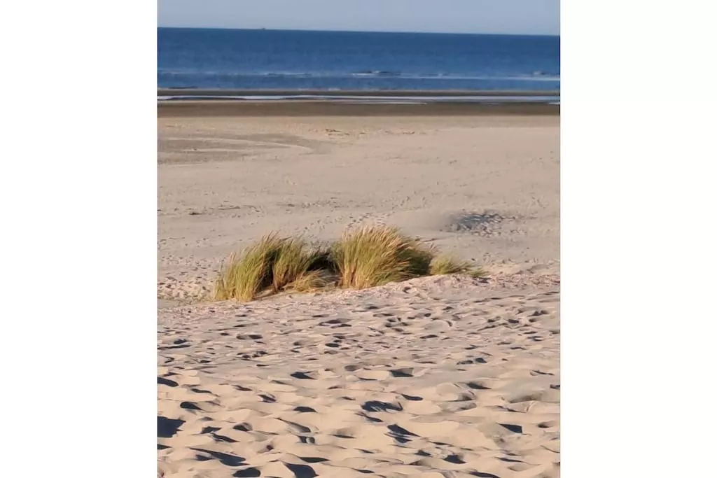 492472-Nicht zugeordnet