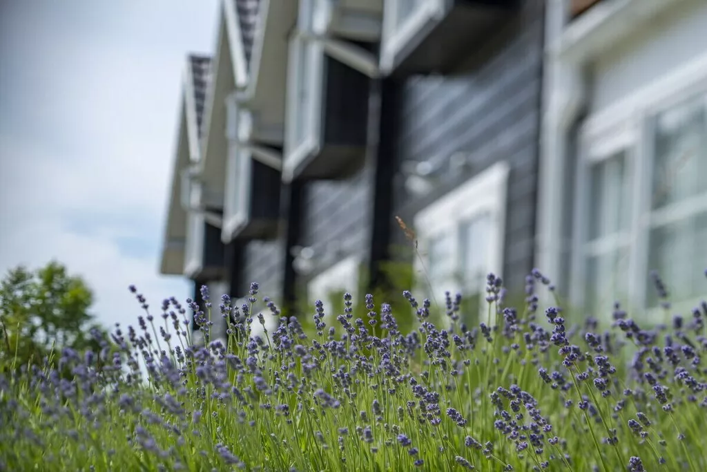 241695-Nicht zugeordnet