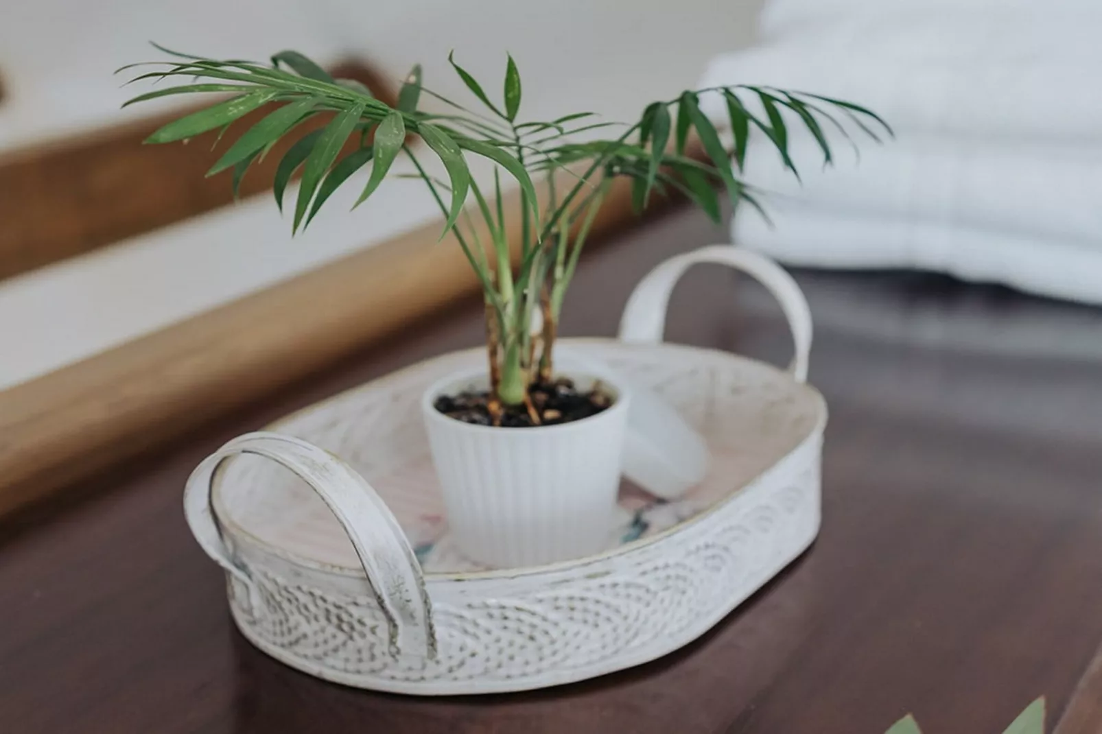 Enchanted Misty Valley Cottage Apartments - Standard One Bedroom Apartment (owner 3)-Innenbereich