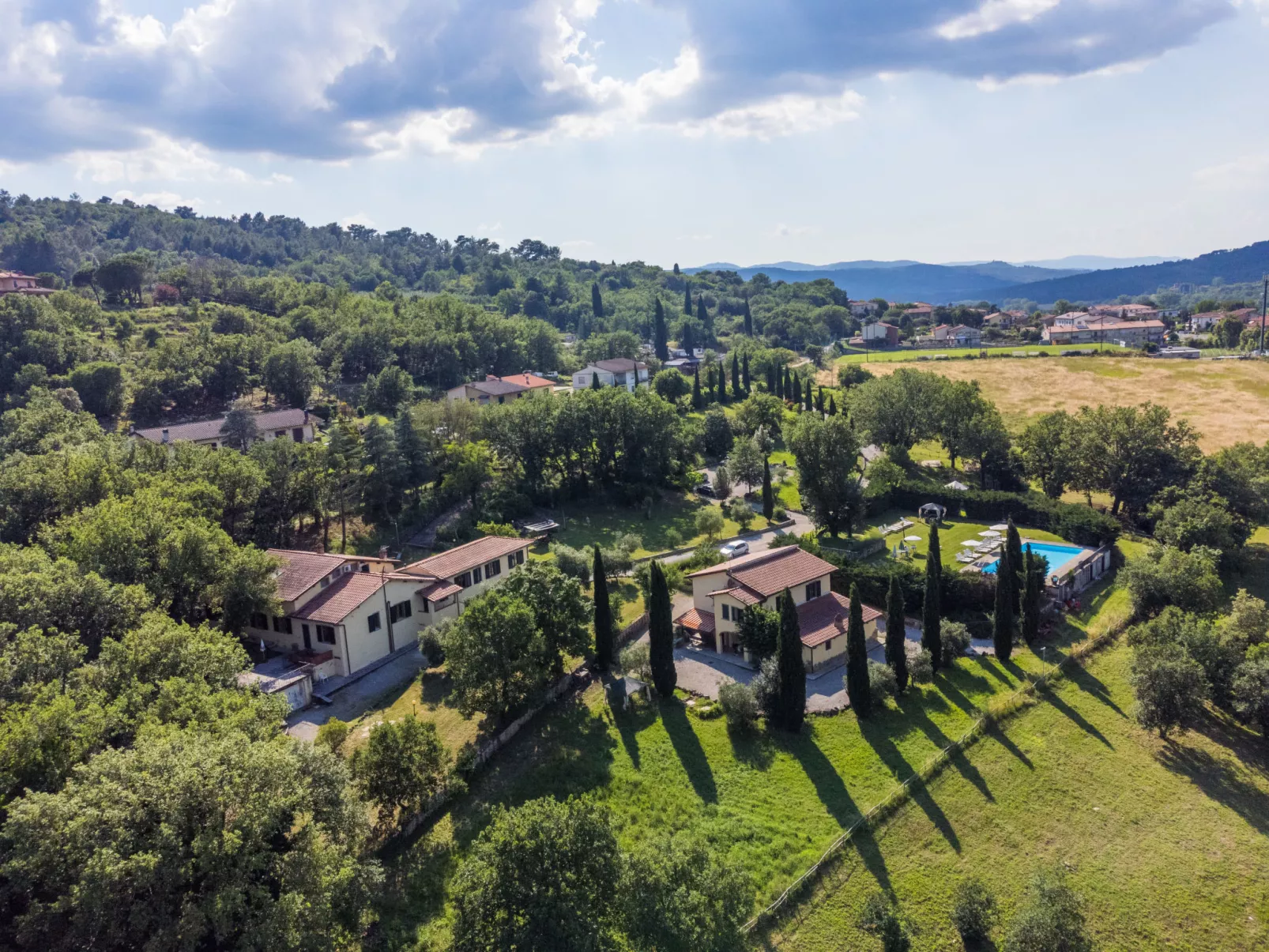 Ginestra-Dehors