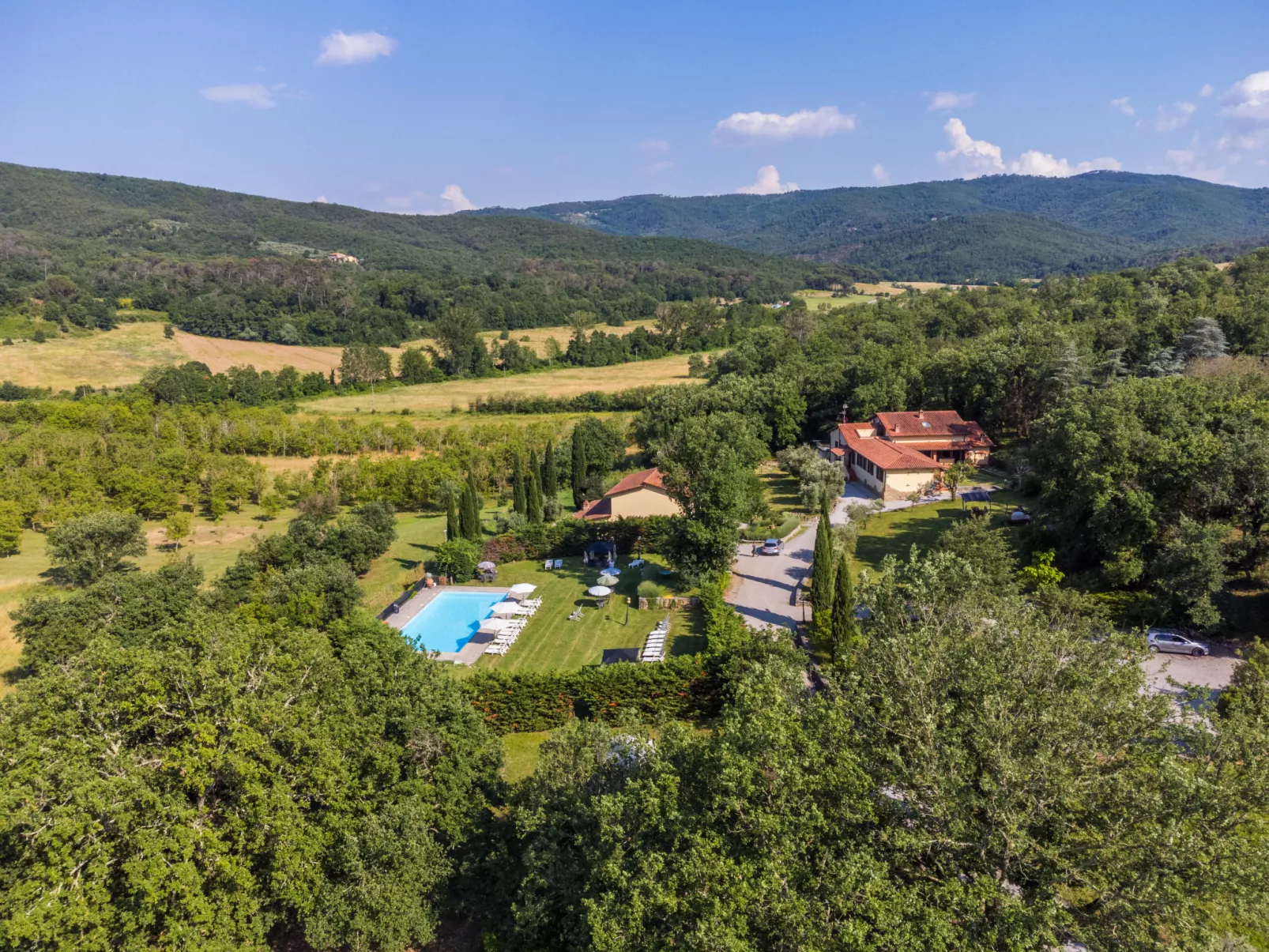 Ginestra-Dehors