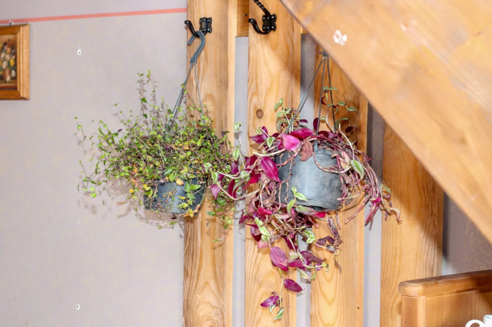 Ethno Village Dolina Mira - Two Bedroom Holiday Home (Trebević)-Indoor