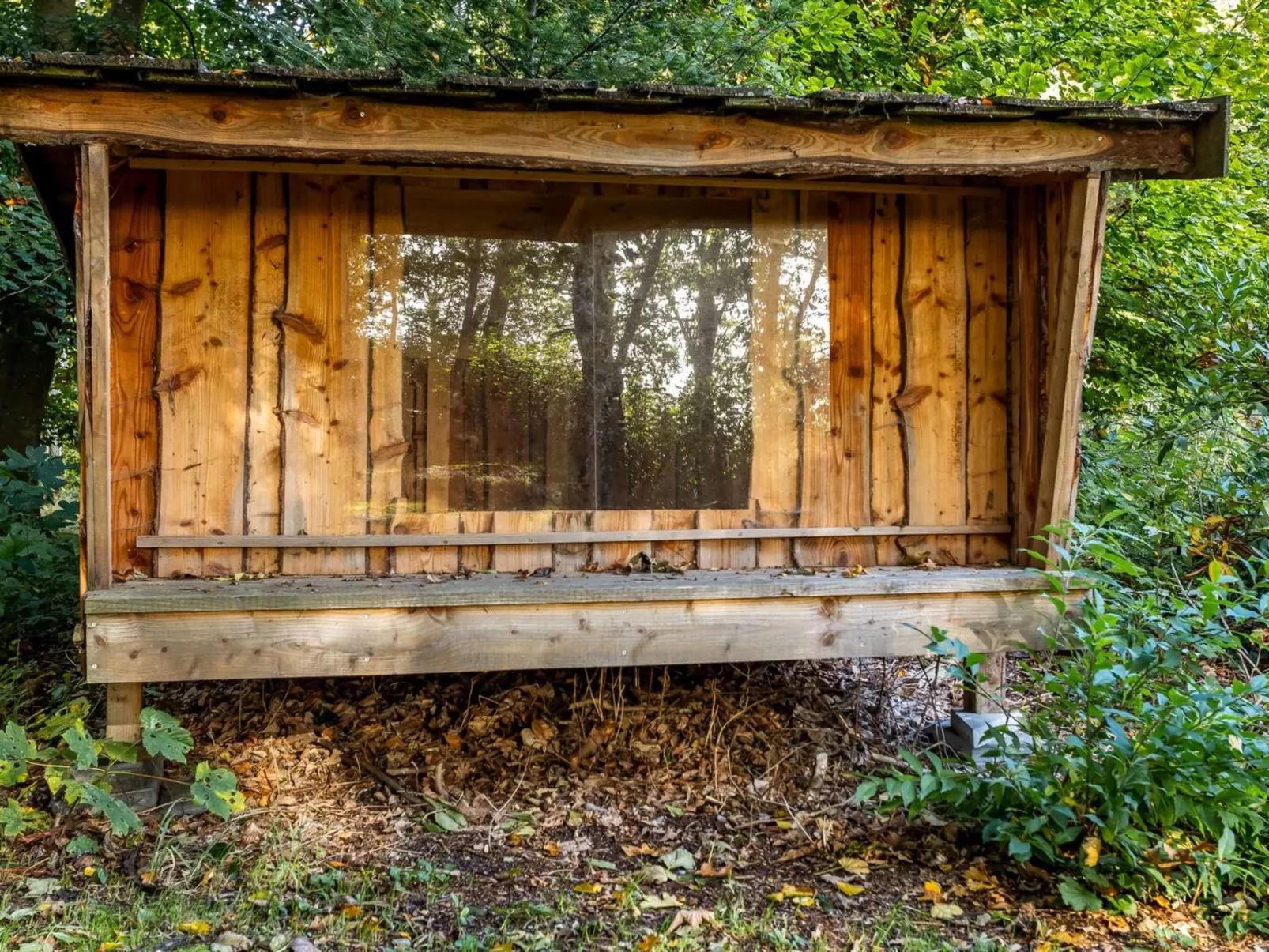 "Cornel" - 300m from the sea-Draußen