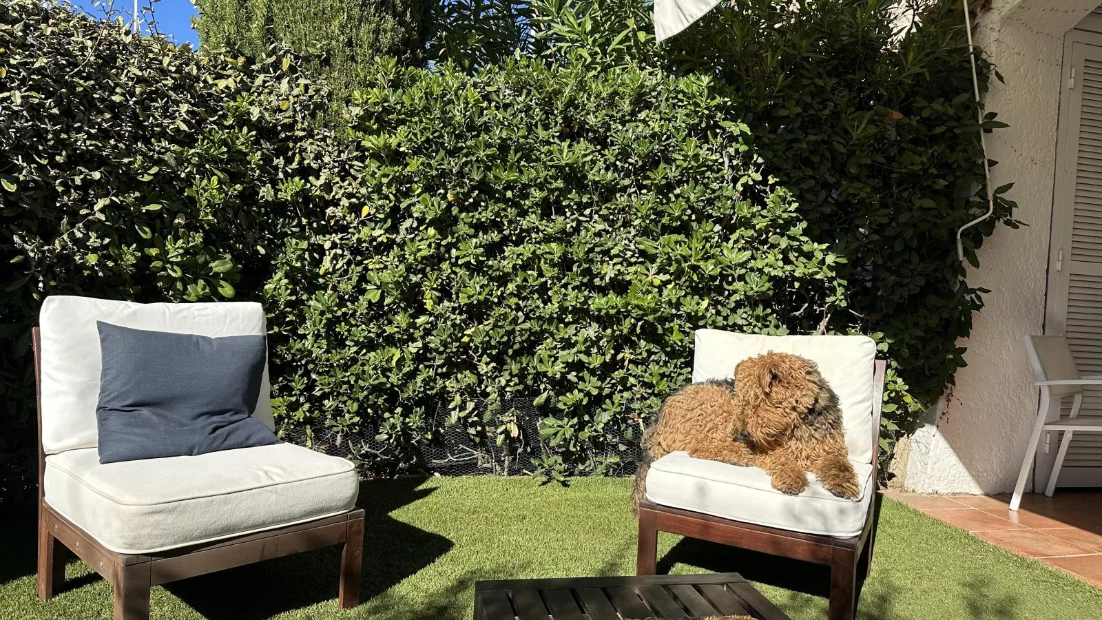 Arlore-Jardins en été