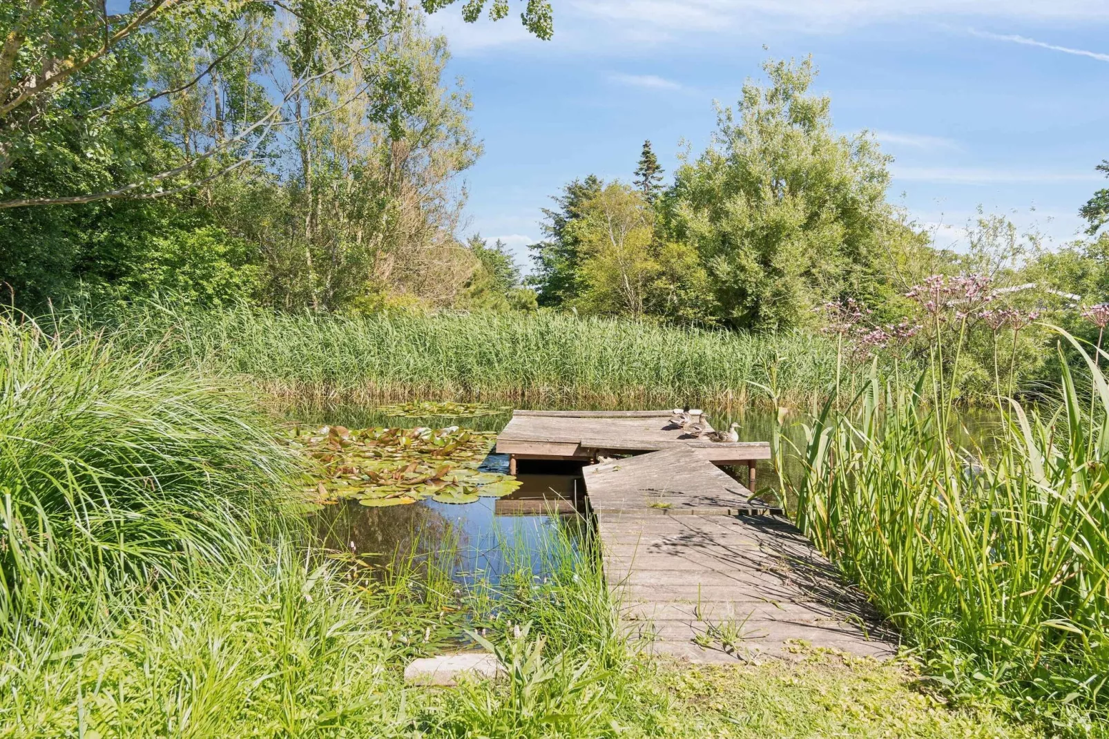 5 star holiday home in Gilleleje-Outdoor