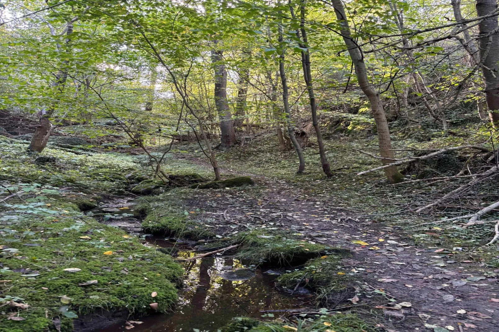 5 star holiday home in Allinge-Indoor