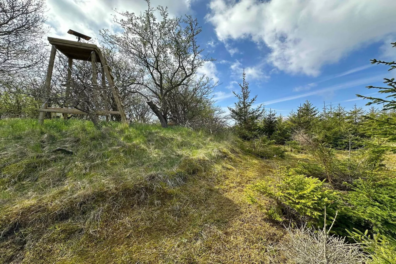 5 star holiday home in Sejerø-Outdoor