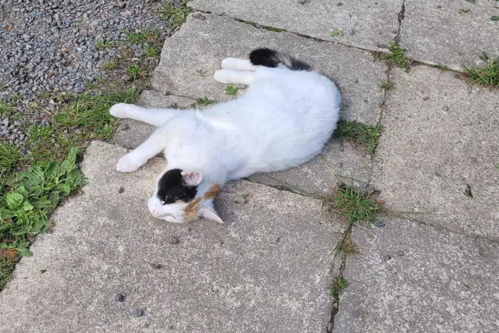 5 star holiday home in Østermarie-Untagged