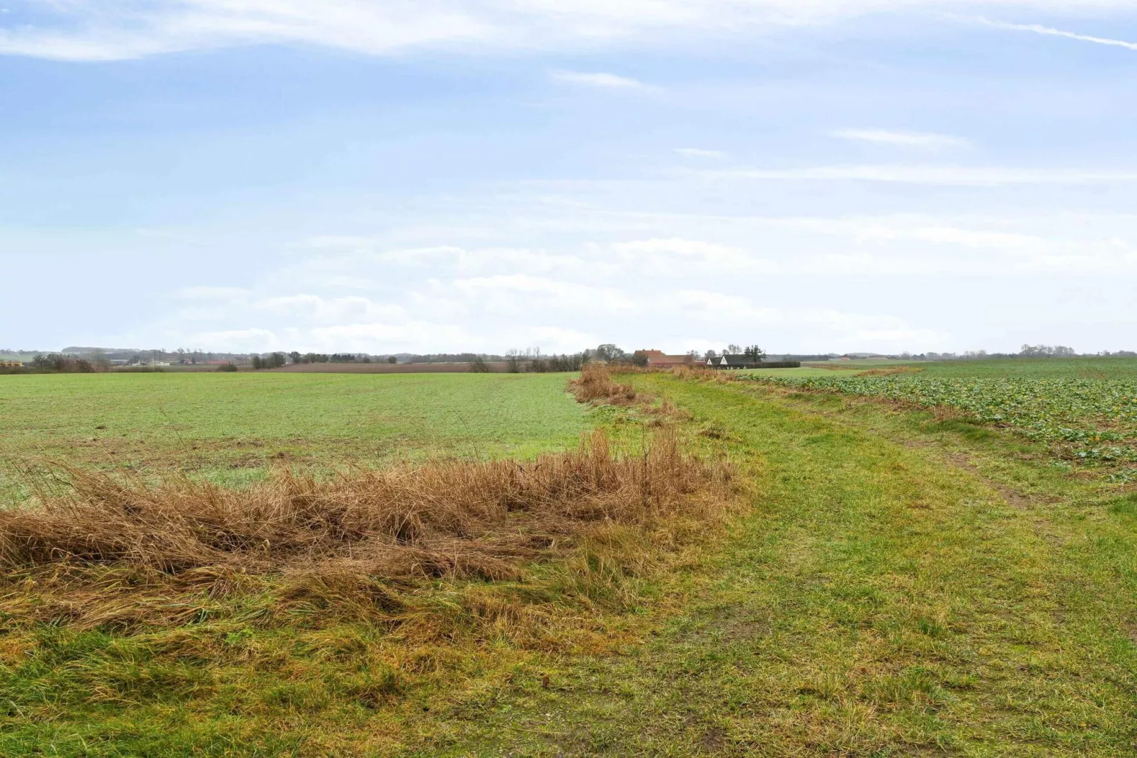 5 star holiday home in Holbæk-Untagged