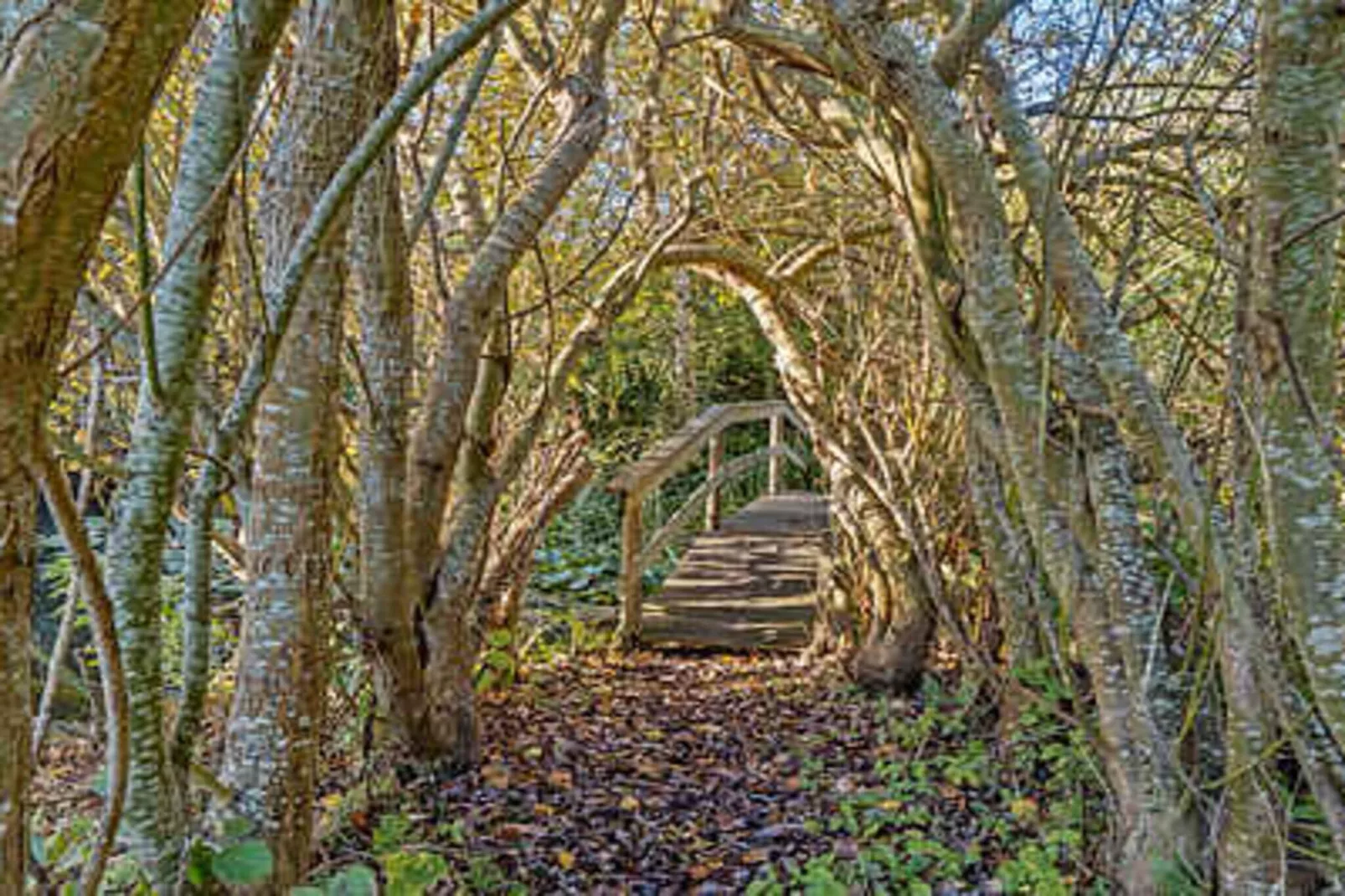 4 star holiday home in Karrebæksminde-Untagged