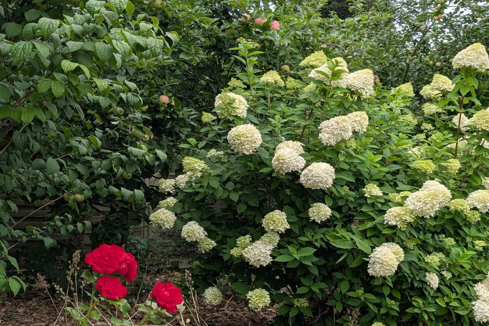 4 star holiday home in Løgstør-Outdoor