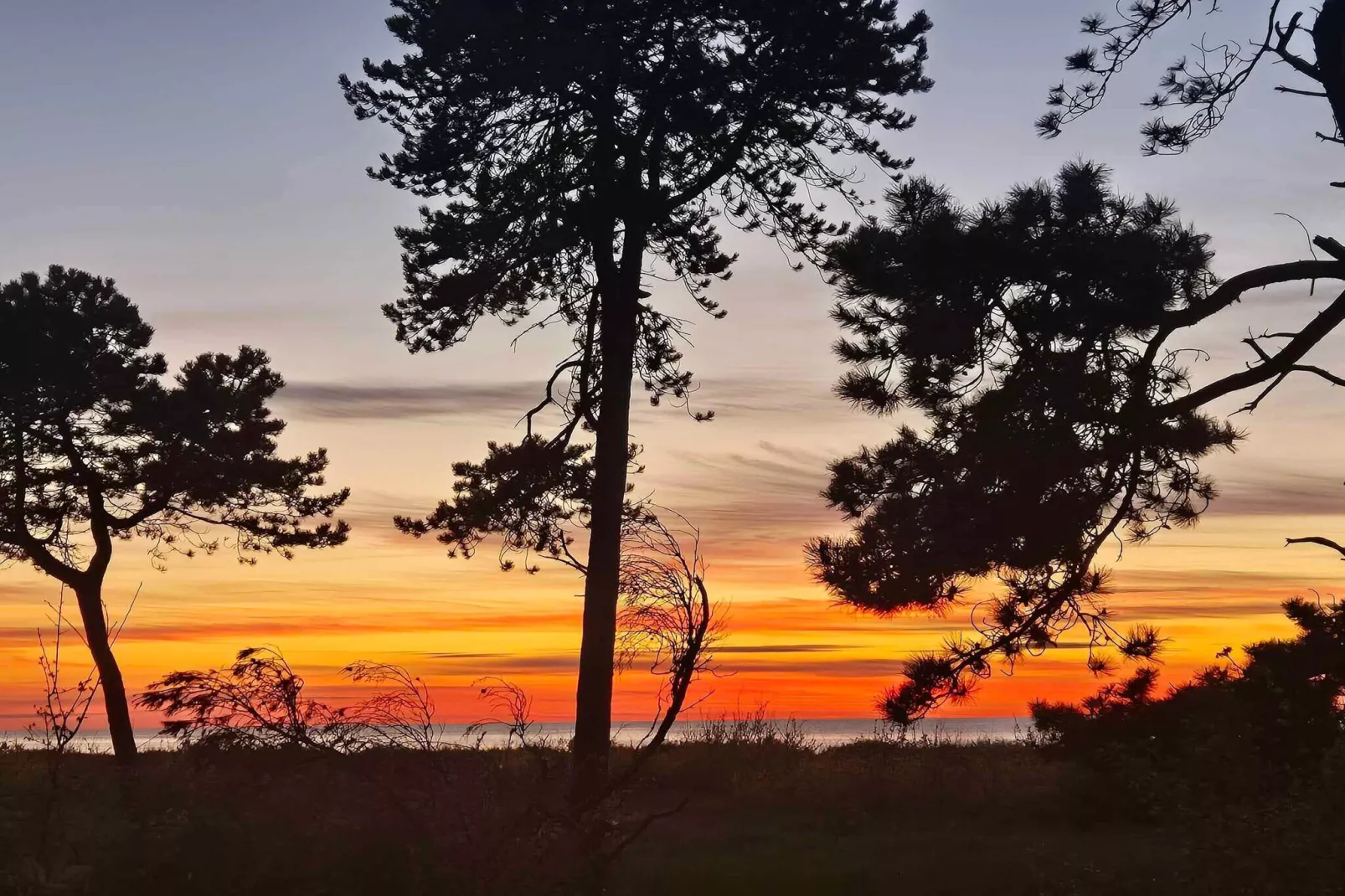 4 etoiles maison de vacances a Asnæs-Extérieur