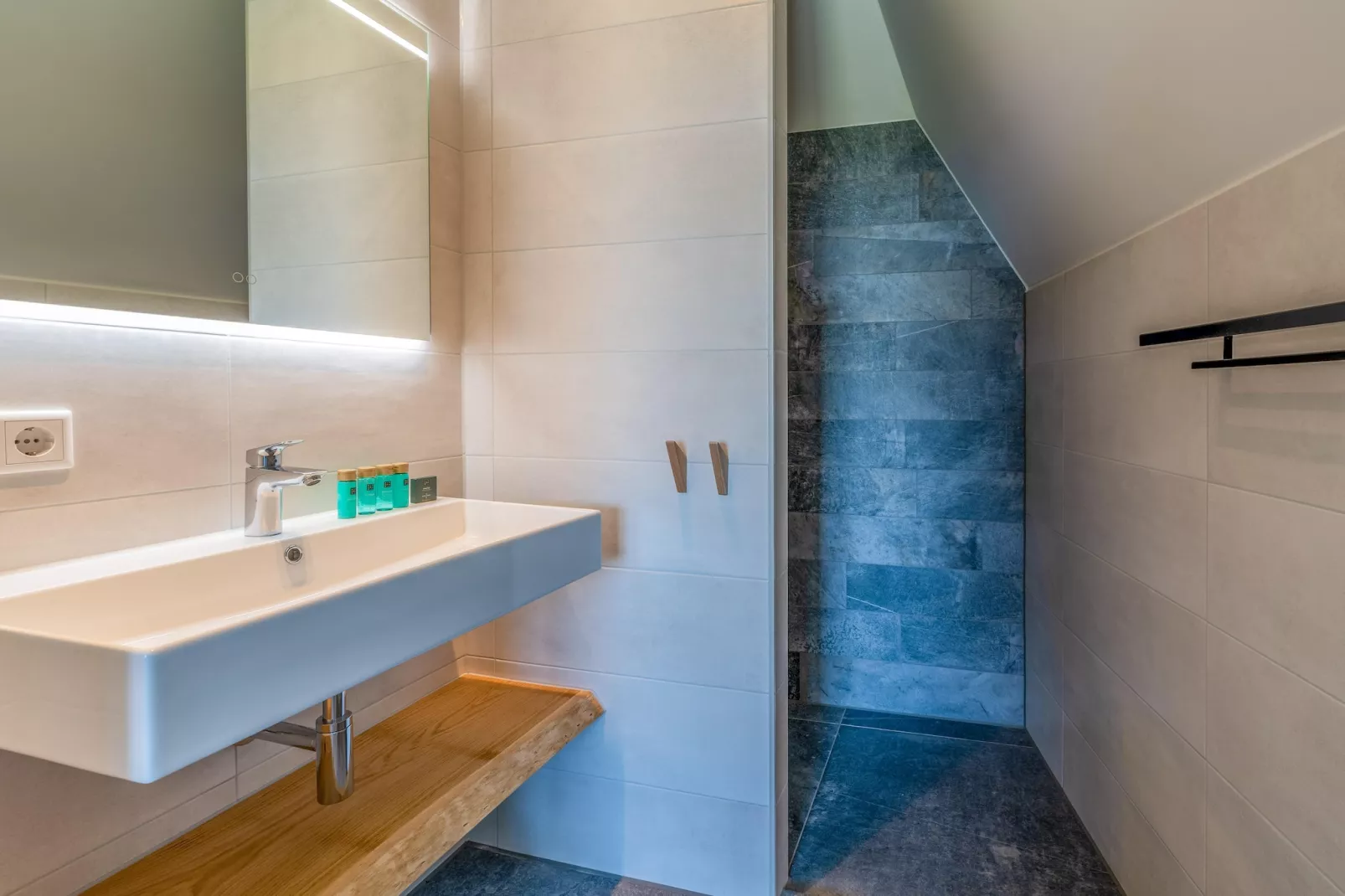 Waalburght 16-Bathroom