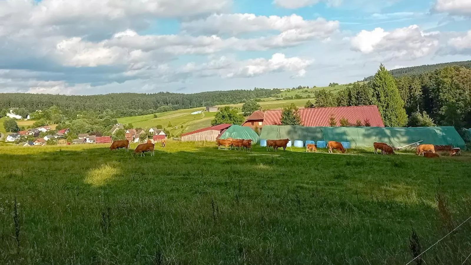 Waldacher Hof-Facilities