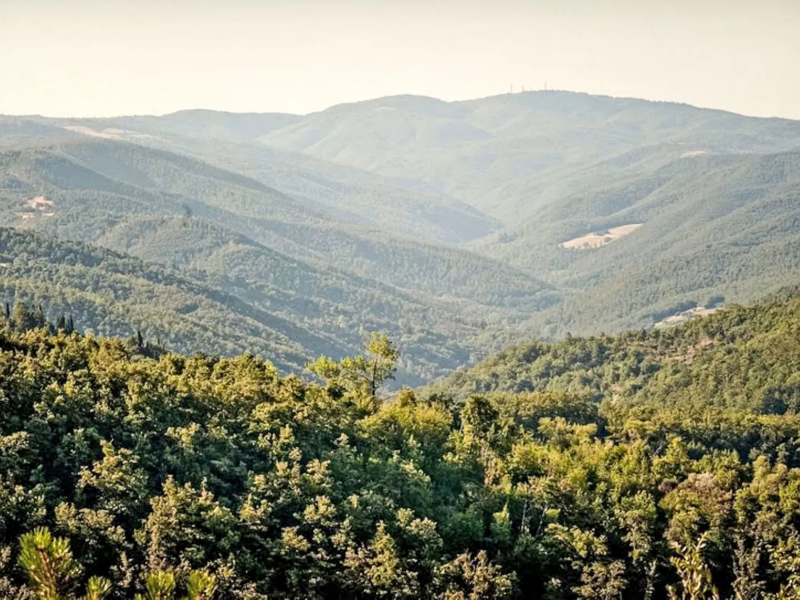 Il Frassino del Borgo di Ghiora-Outside