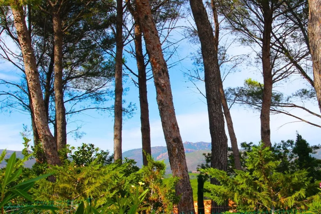 121516-Nicht zugeordnet