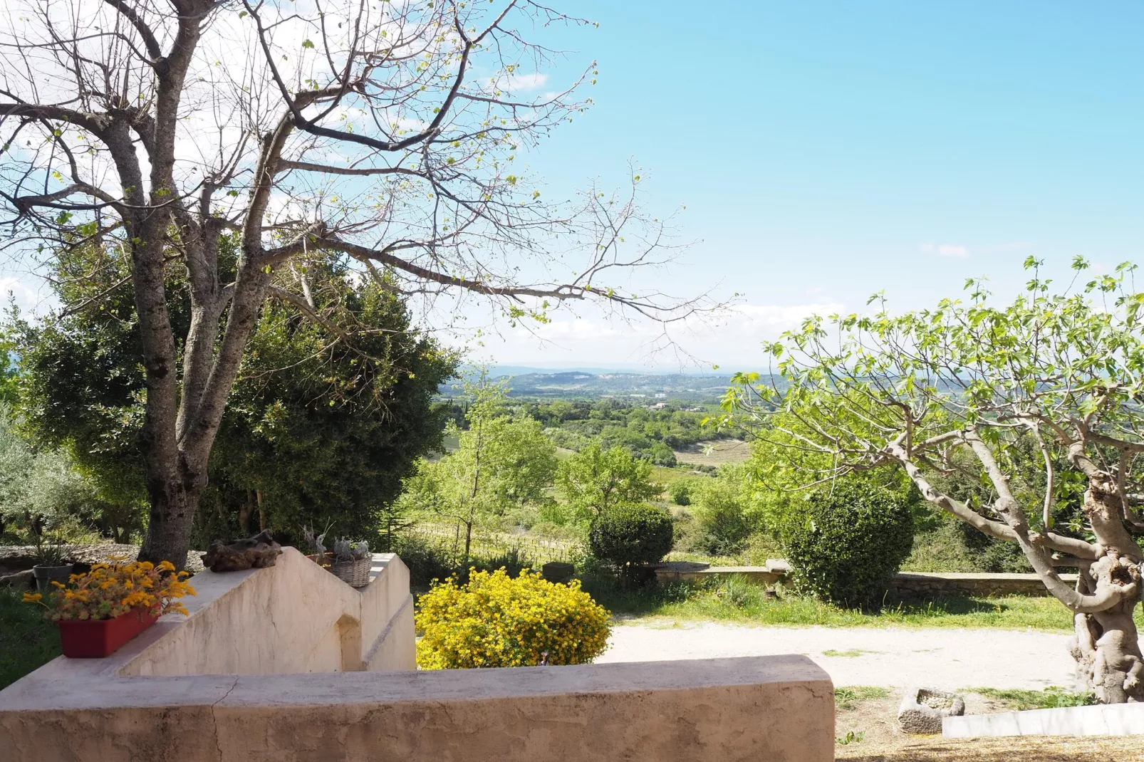 Doppelhaushälfte in Bédoin-View in summer