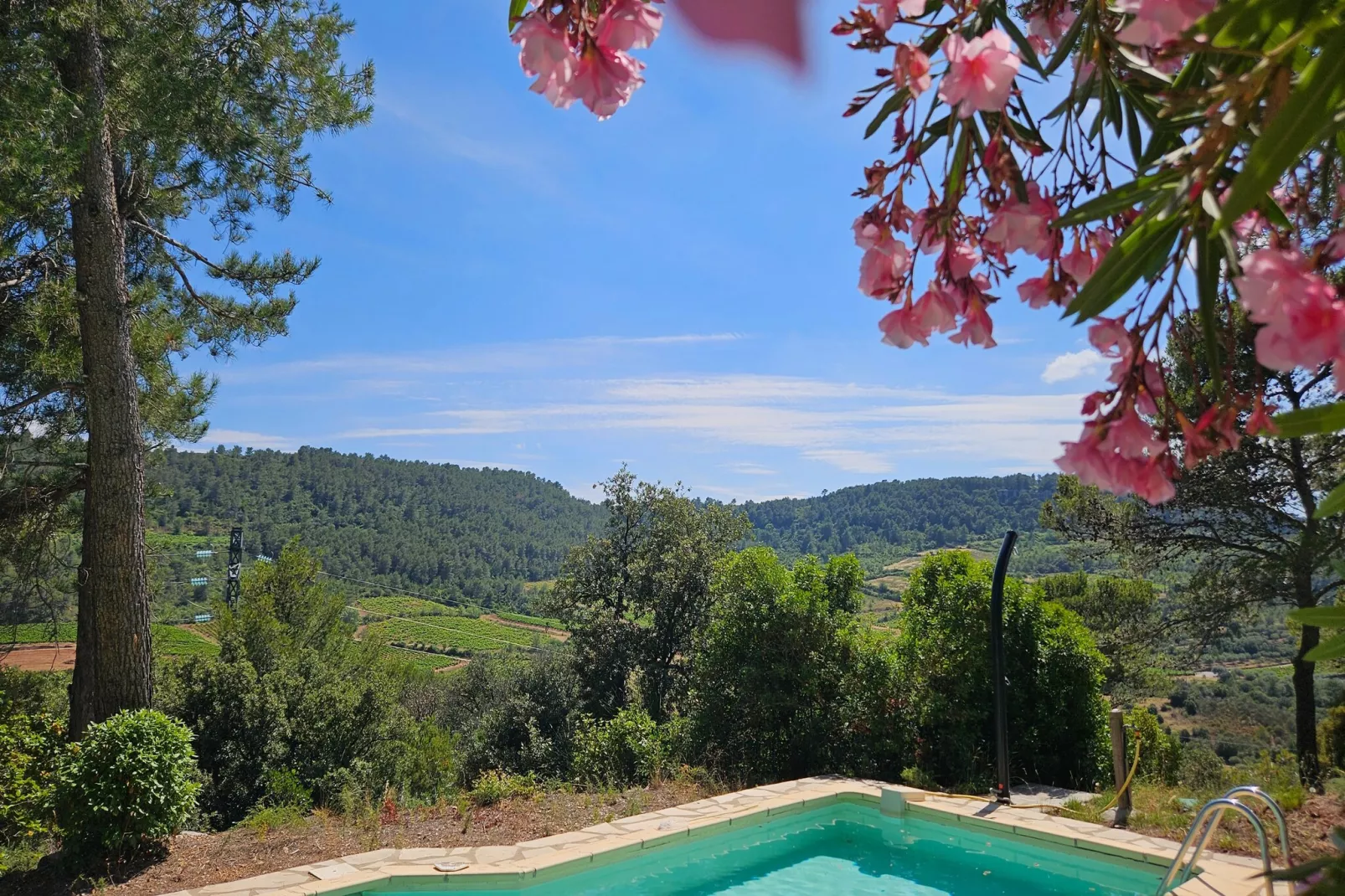 La Garrigue-Vue d'été