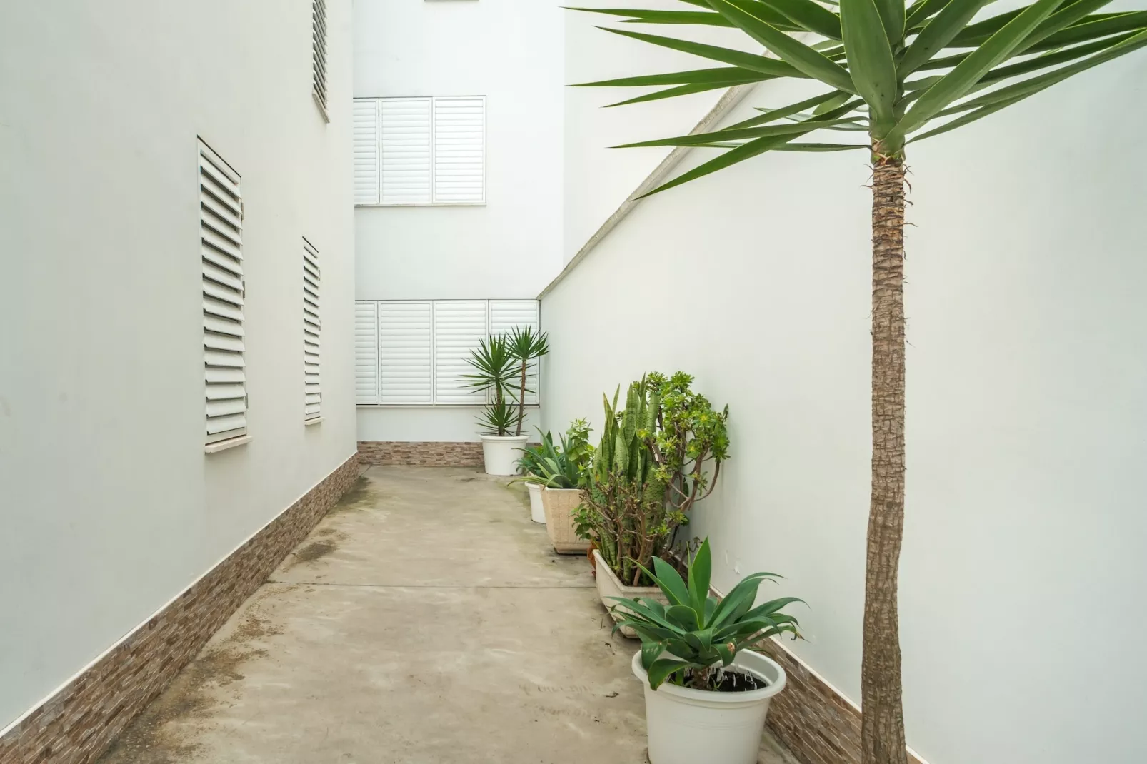 TORRE HERMOSA CONIL DE LA FRONTERA-Terrasse / balcon
