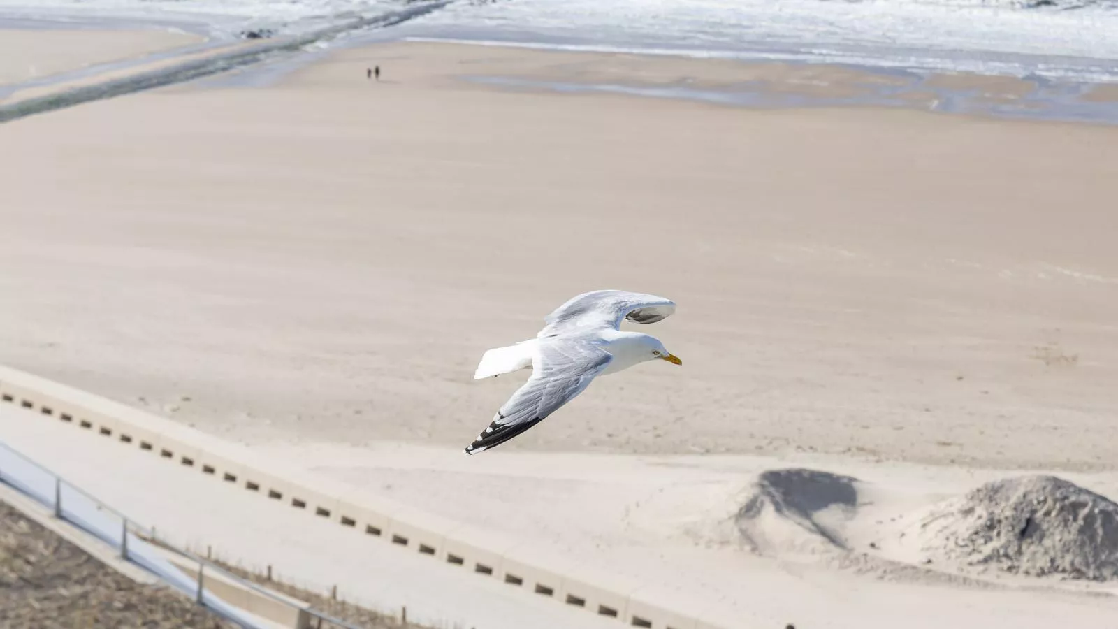 Stella - 0701 -Outdoor