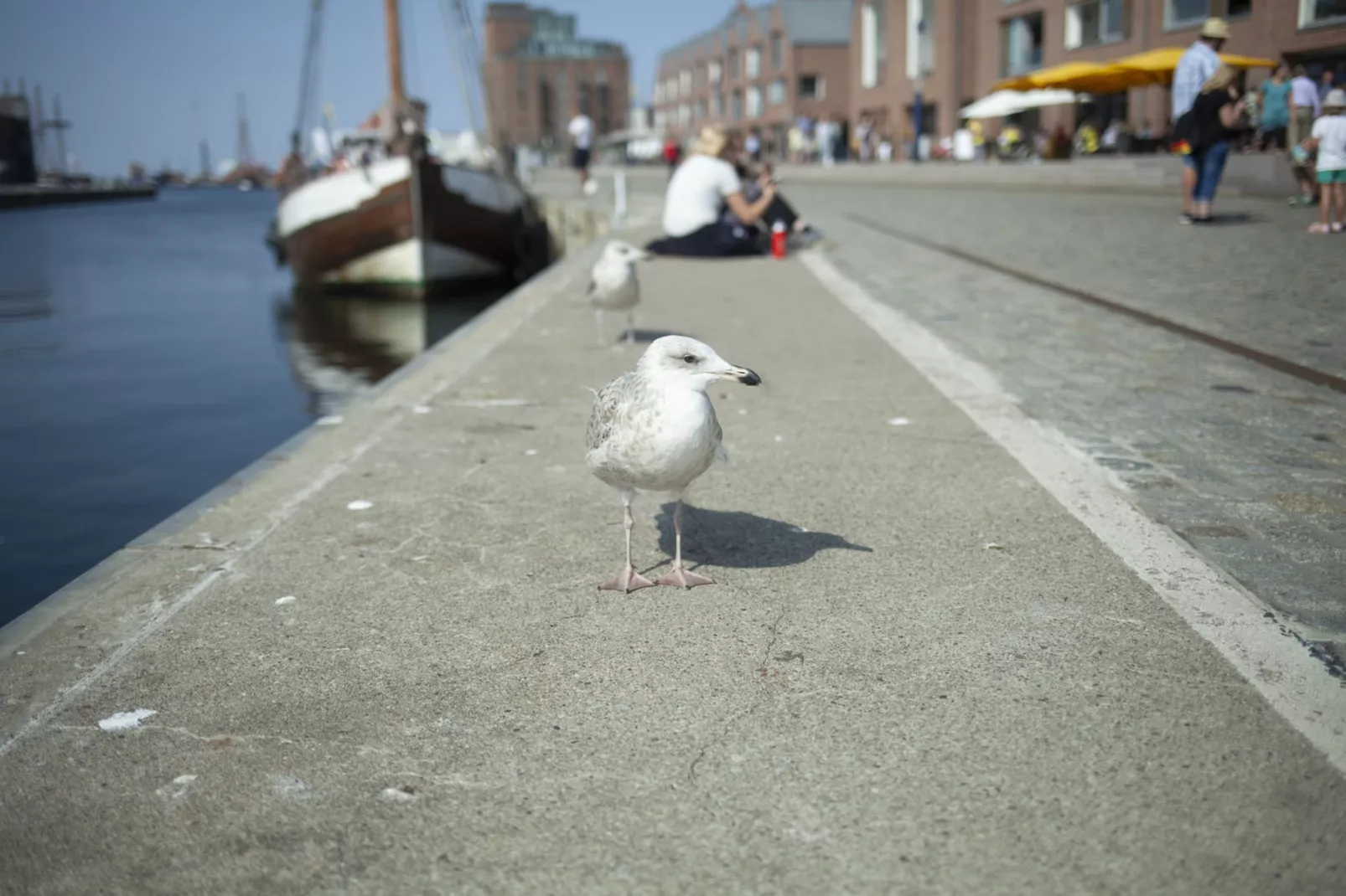 Zum Breitling-Areas within 20km in summer