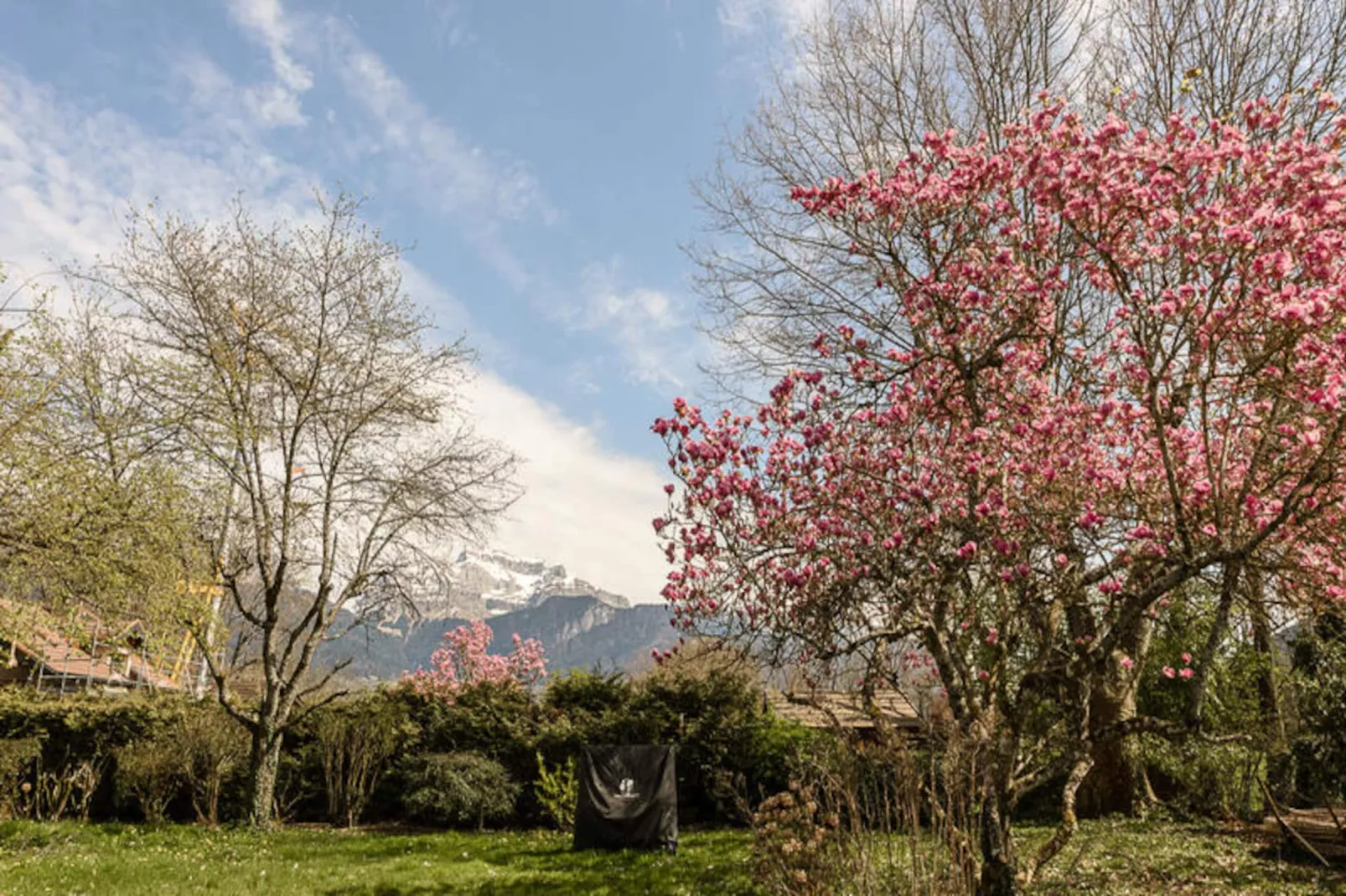 Appartements à Saint-Jorioz-Nicht zugeordnet