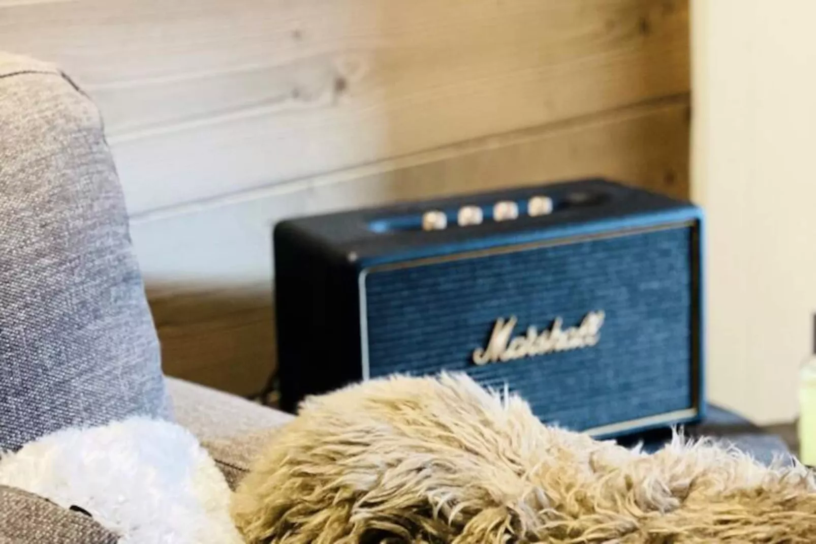 Résidence Le Dome - Non tagué