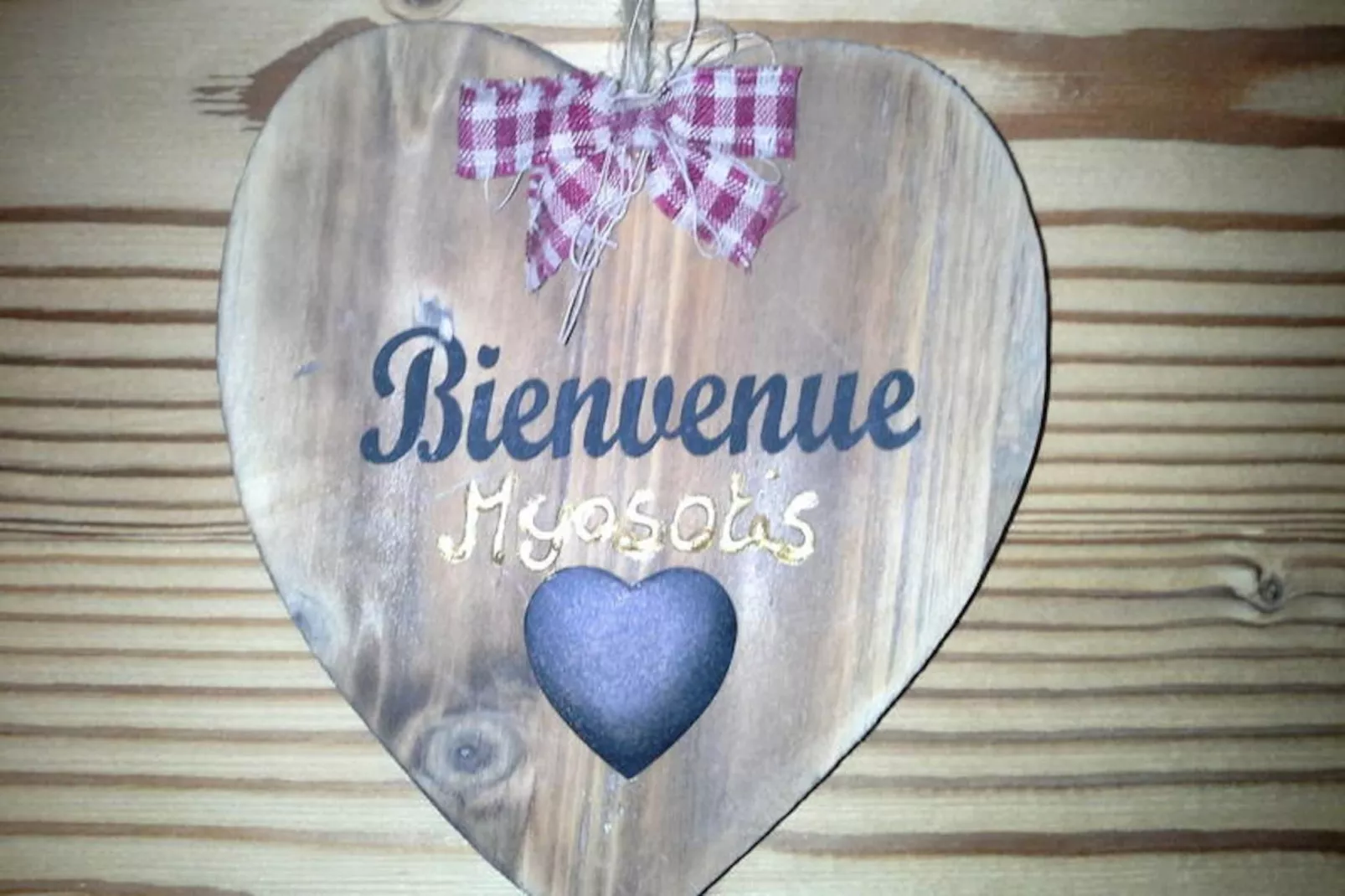 Chalet Les Ancolies-Untagged