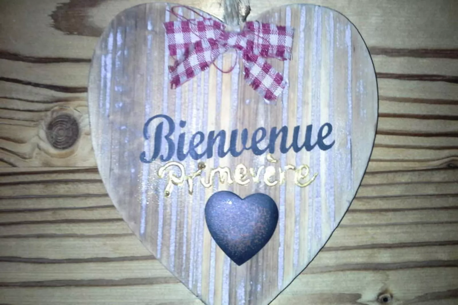 Chalet Les Ancolies-Untagged