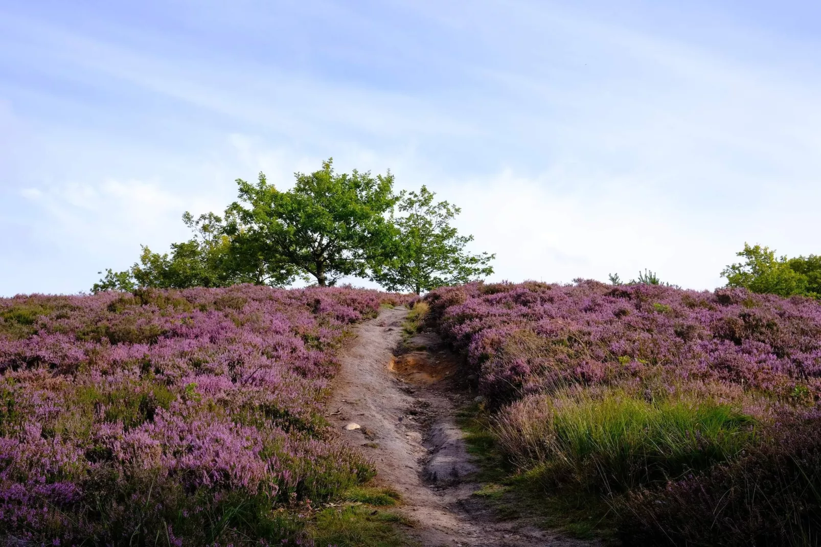 Helle Cottage-Oase in Silkeborg-By Traum-Wasserblick