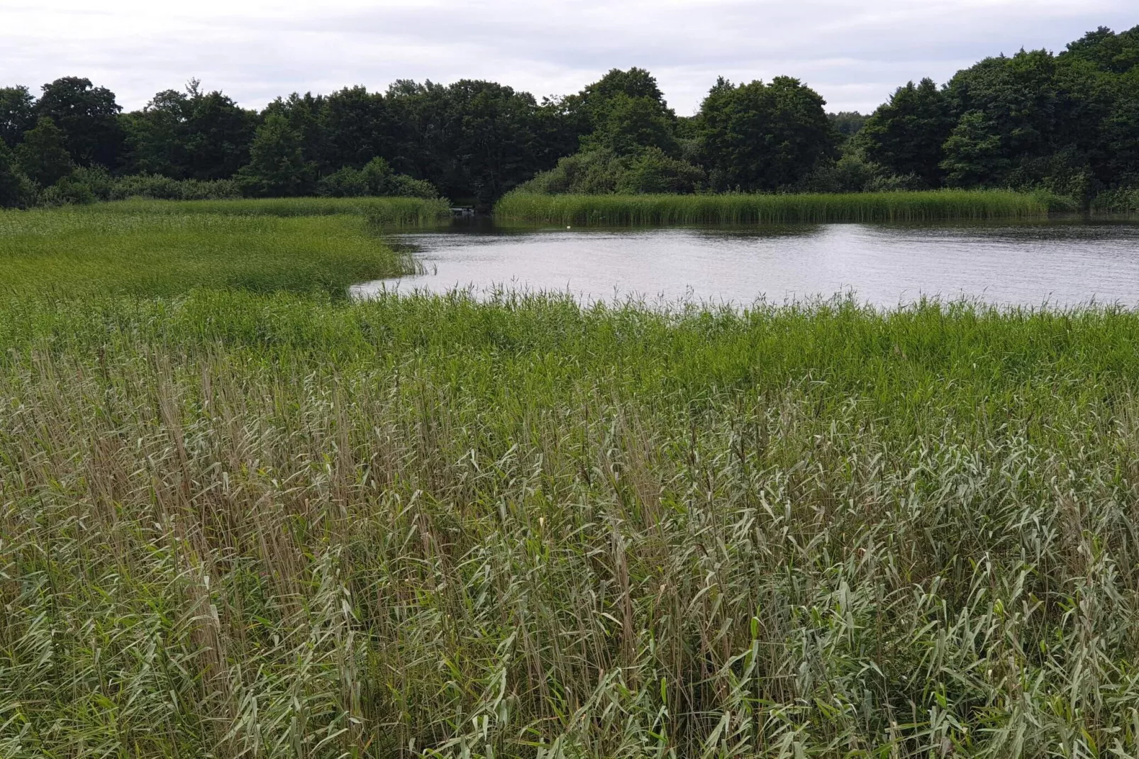 6 person holiday home in Ebeltoft-Water view