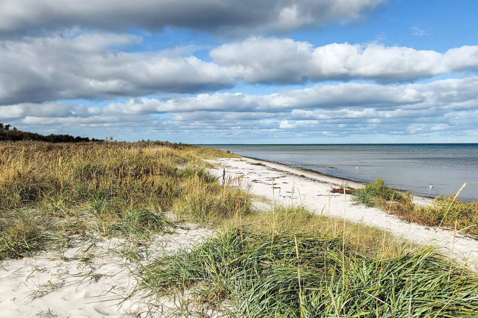 Maison de vacances pour 8 a Væggerløse-Vue sur l'eau