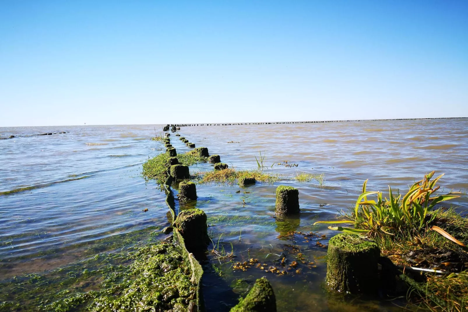 5 person holiday home in Højer-By Traum-Water view