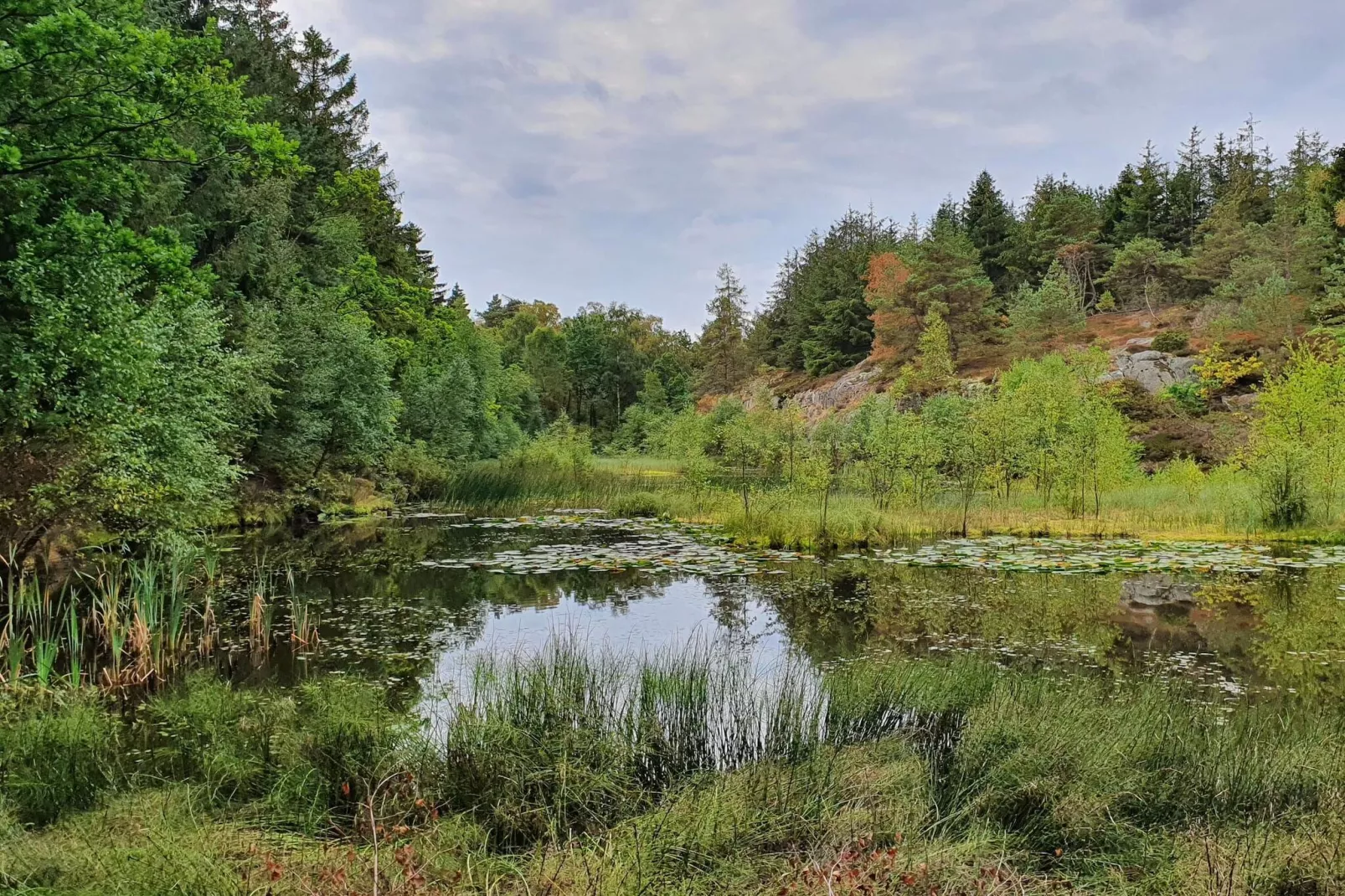 Idyllisches Meer in Svaneke -- By Traum Ferienwohnungen-Nicht zugeordnet