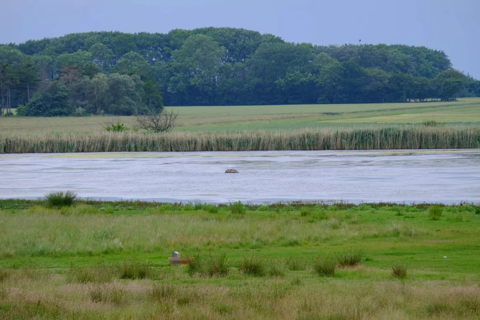 9 Personen Ferienhaus in Væggerløse-By Traum - Wasserblick