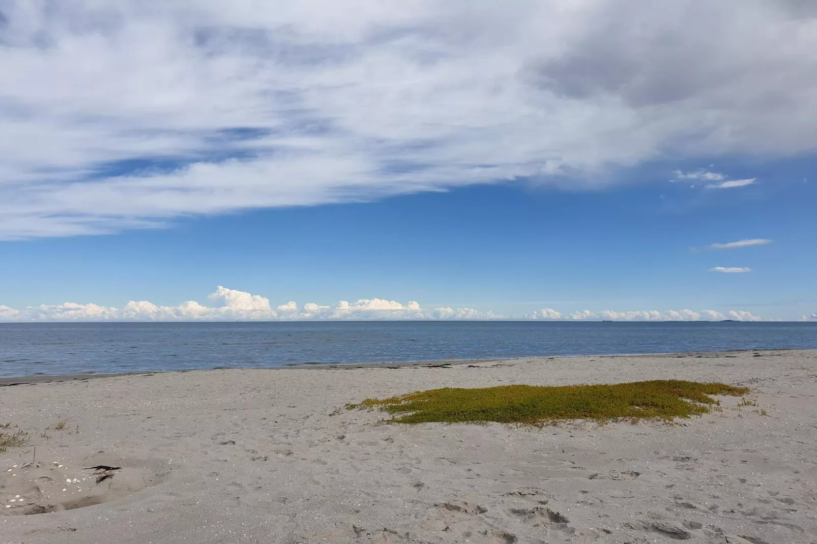 4 person holiday home in Jerup-By Traum-Water view