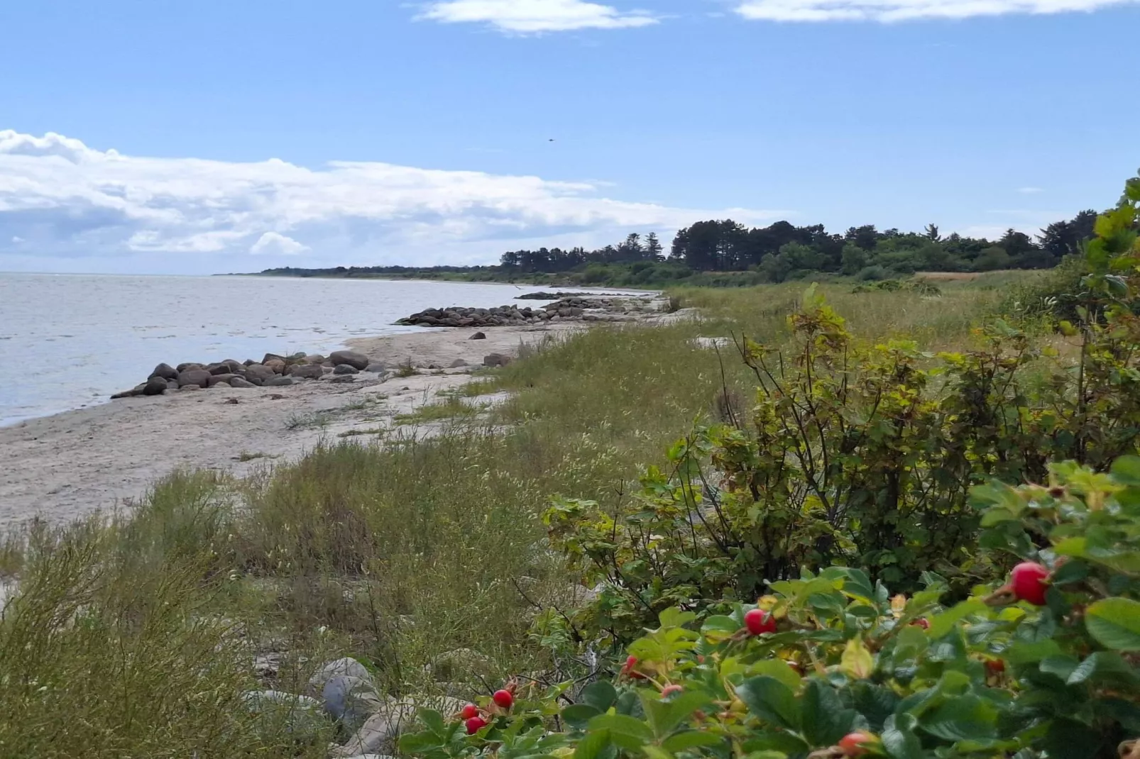 8 person holiday home in Sæby-By Traum-Water view