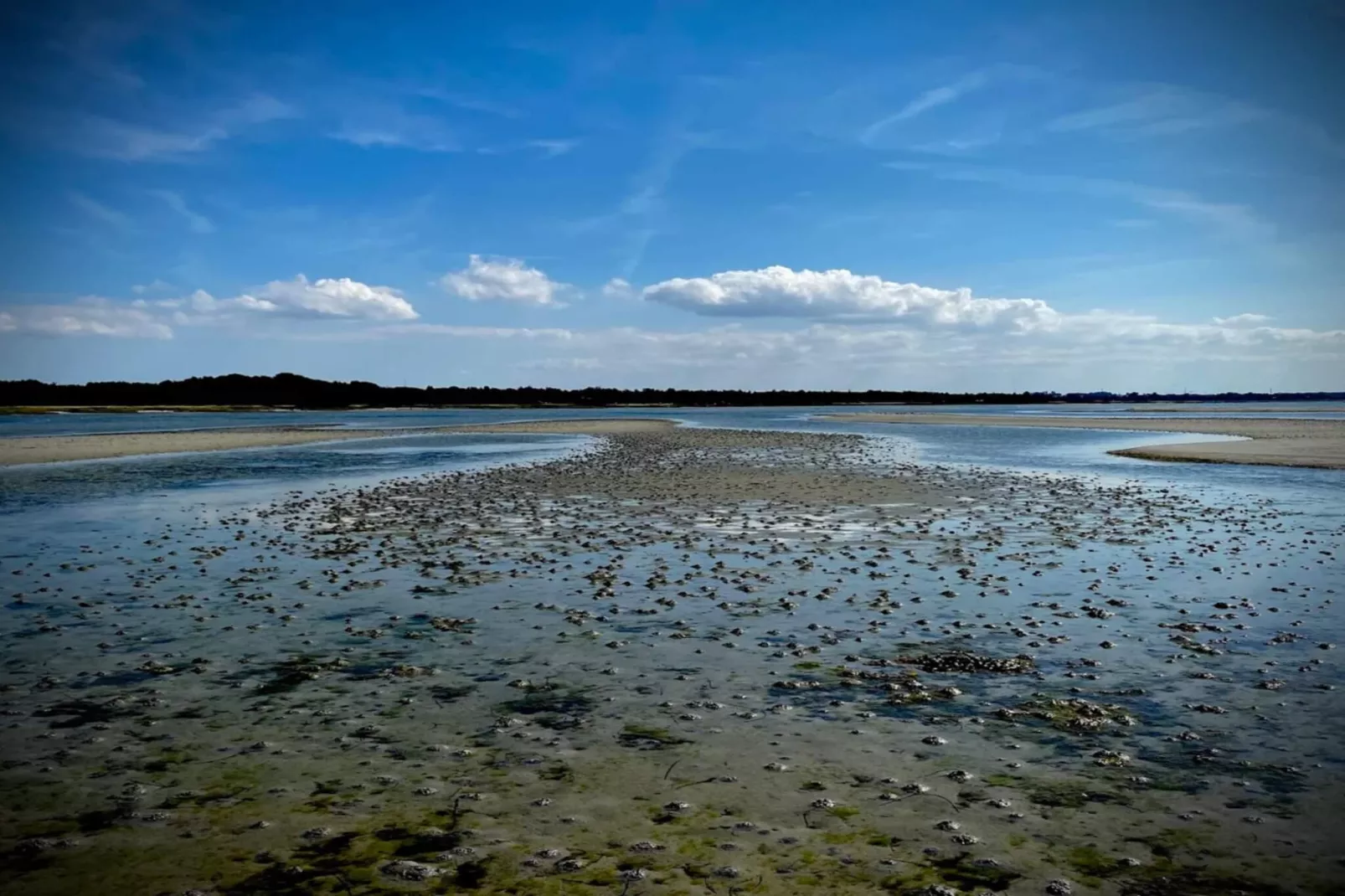 Luxurioser Ruckzug mit Pool -- By Traum Ferienwohnungen-Wasserblick