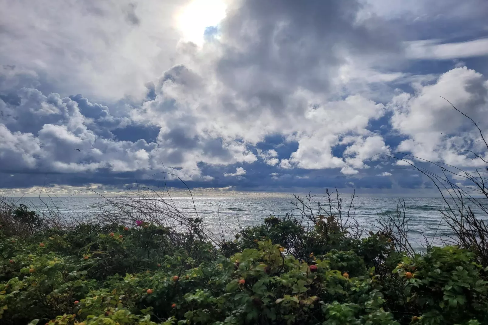 Maison de vacances pour 4 a Ebeltoft-By Traum-Vue sur l'eau