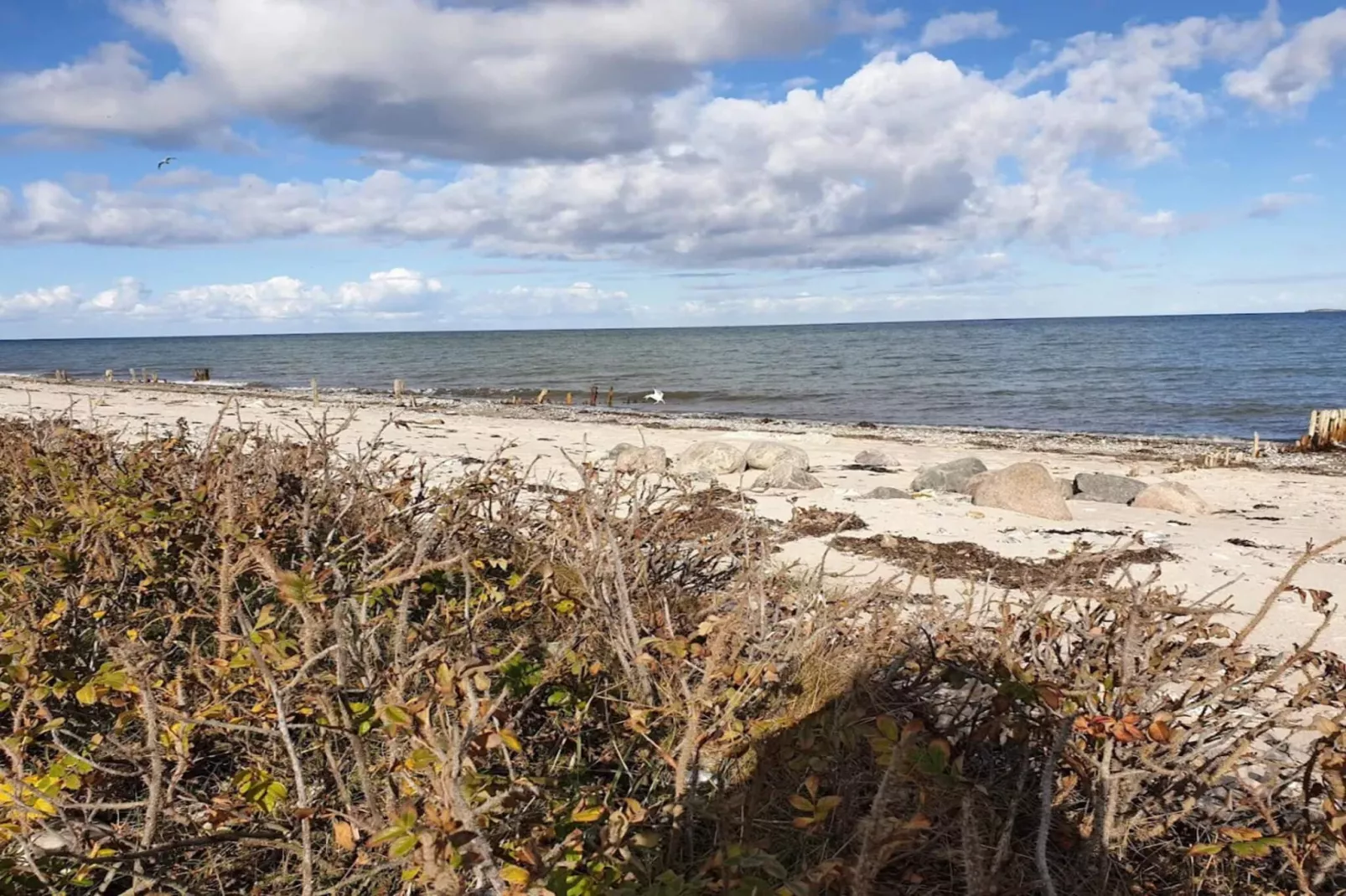 8 Personen Ferienhaus in Otterup-By Traum-Wasserblick