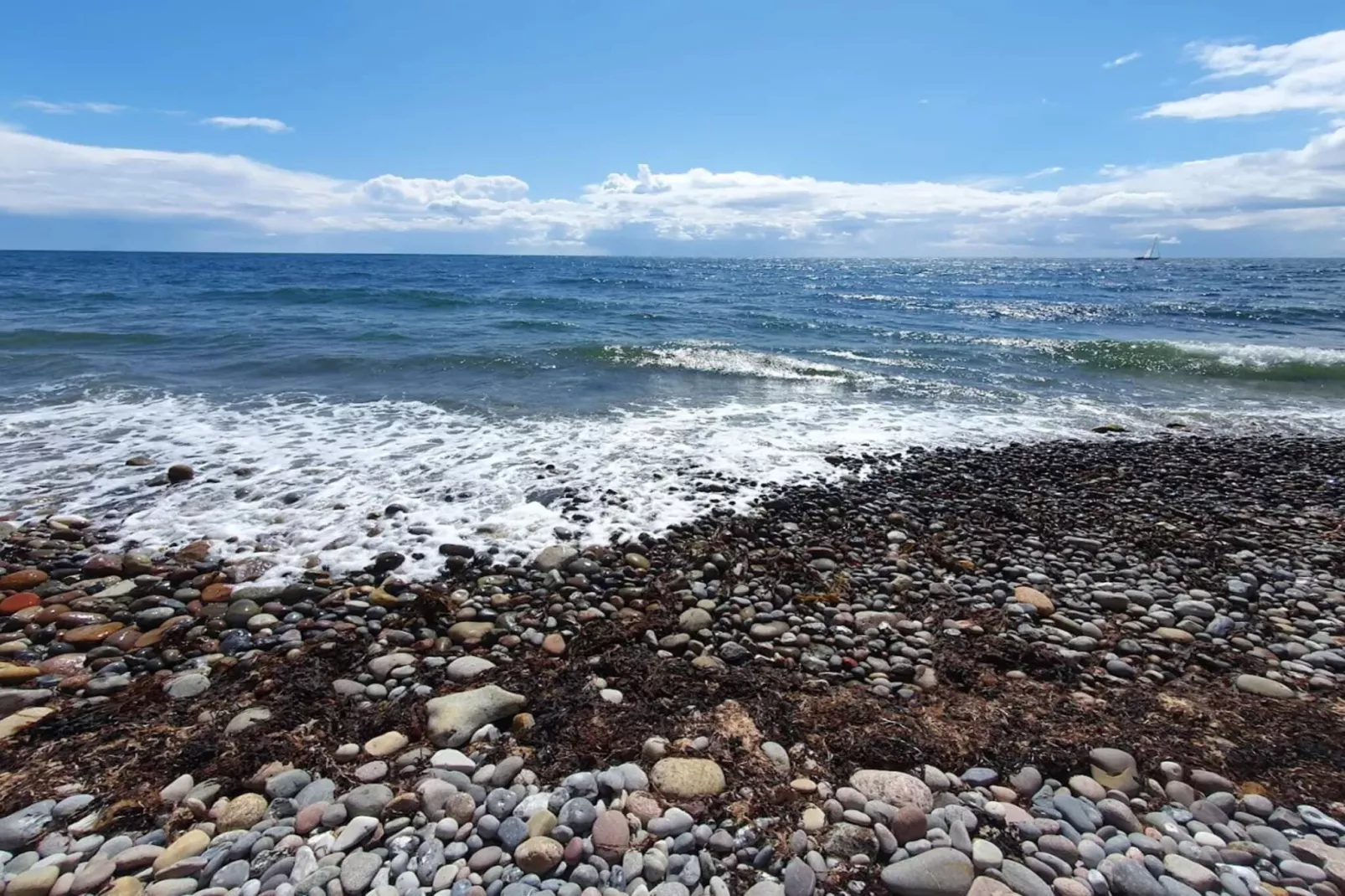 Family cottage for eight guests - Water view