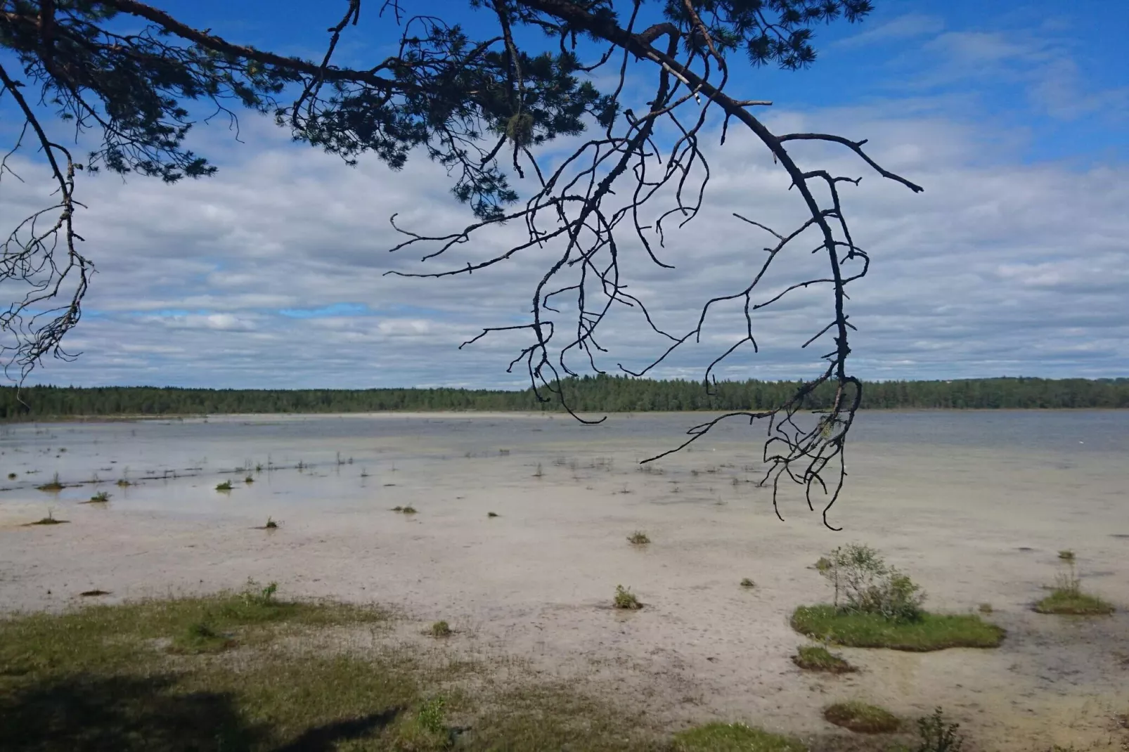 Rotes Bauernhaus in der Nähe von Forsheda-Wasserblick